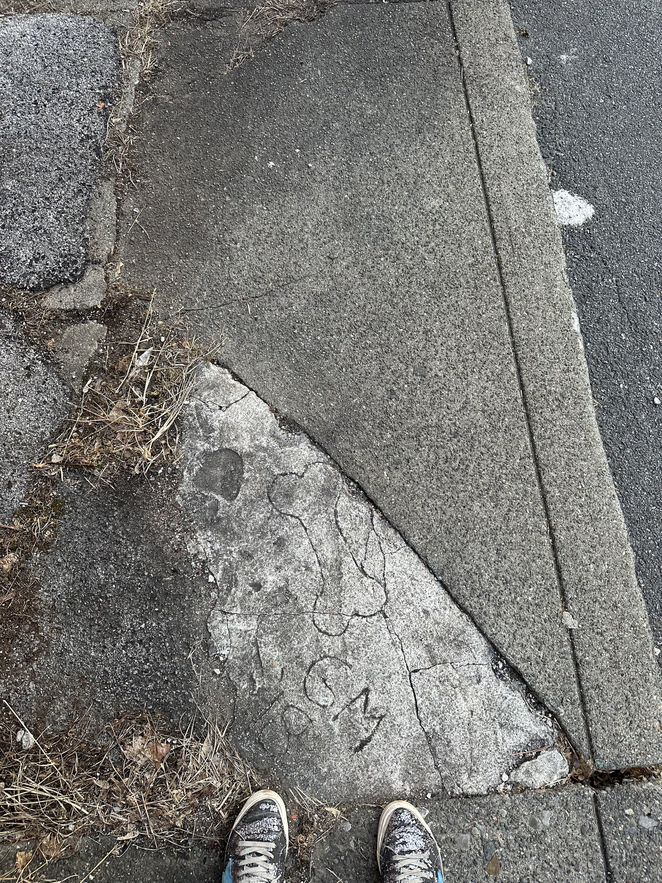 IMG_1268.jpeg