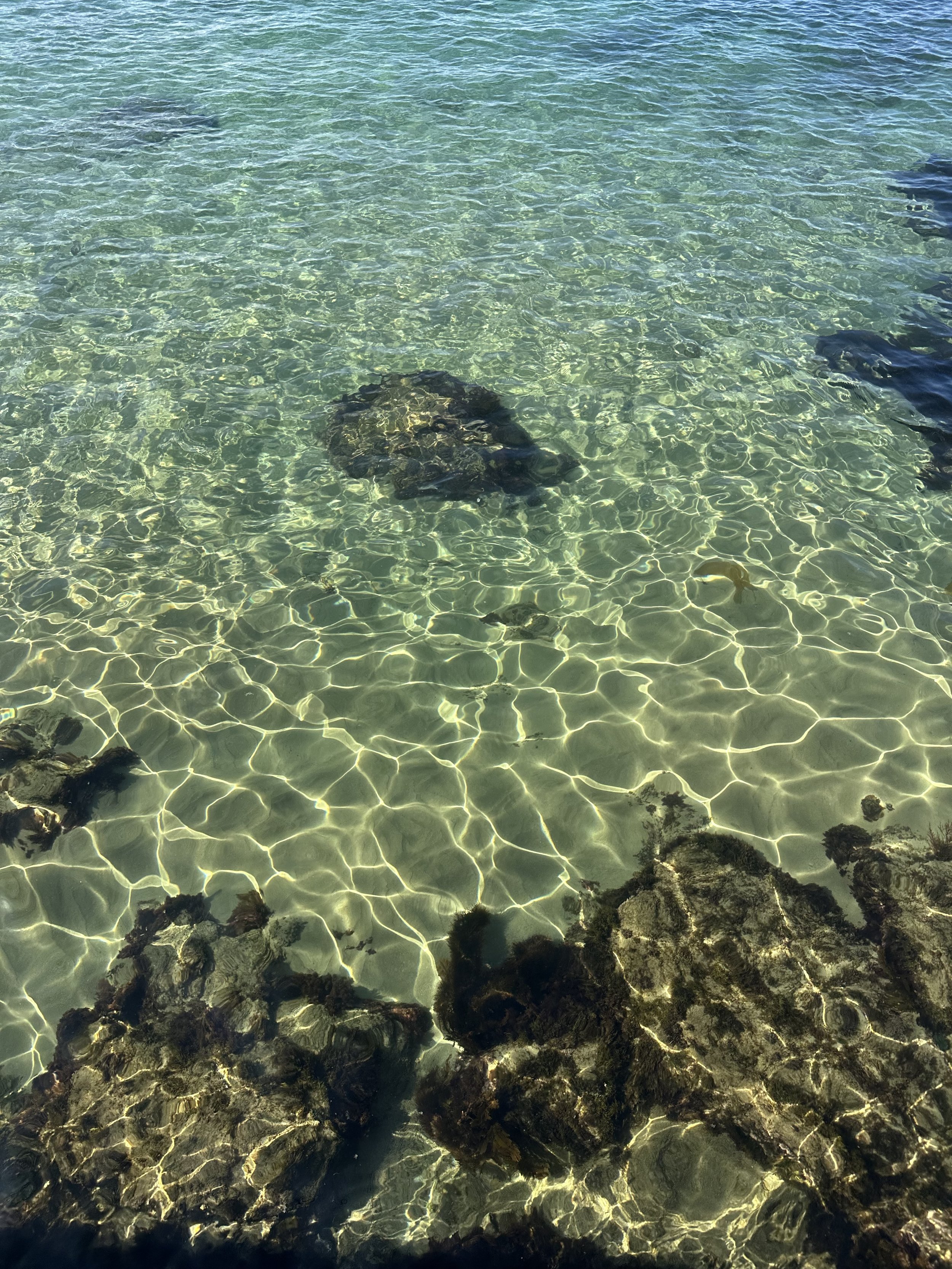 IMG_0381.jpeg