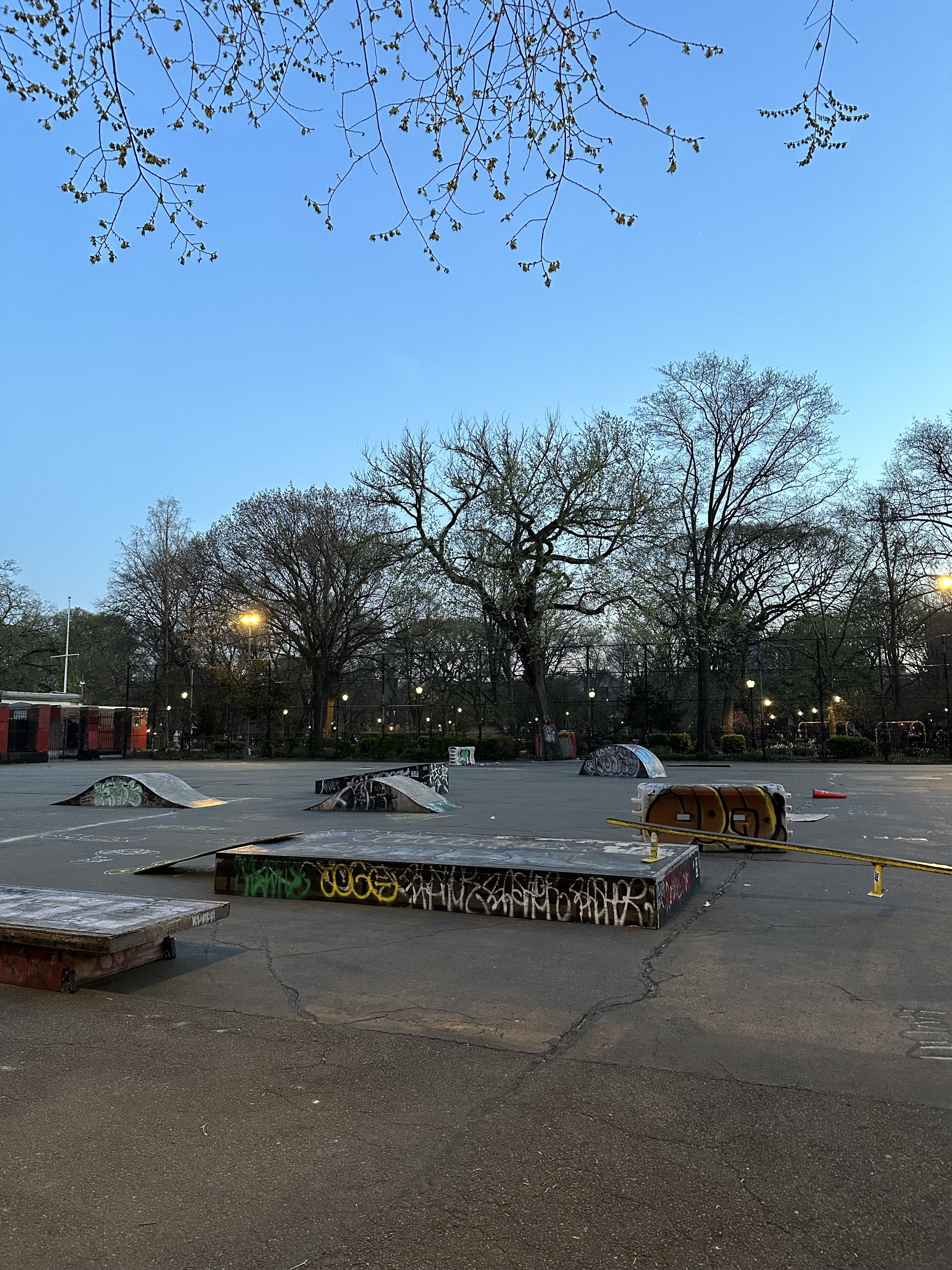 IMG_0551.jpeg