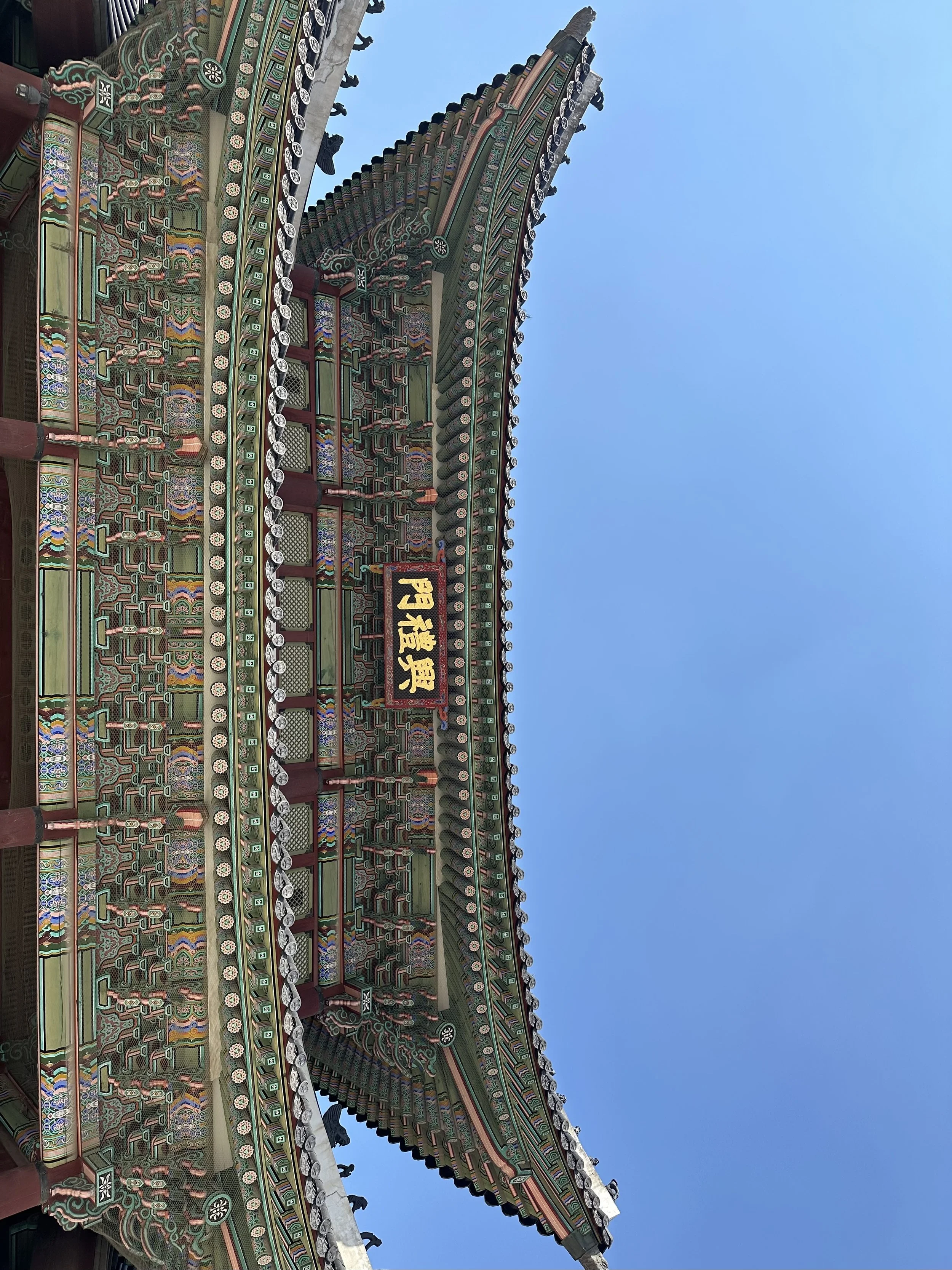 IMG_1155.jpeg