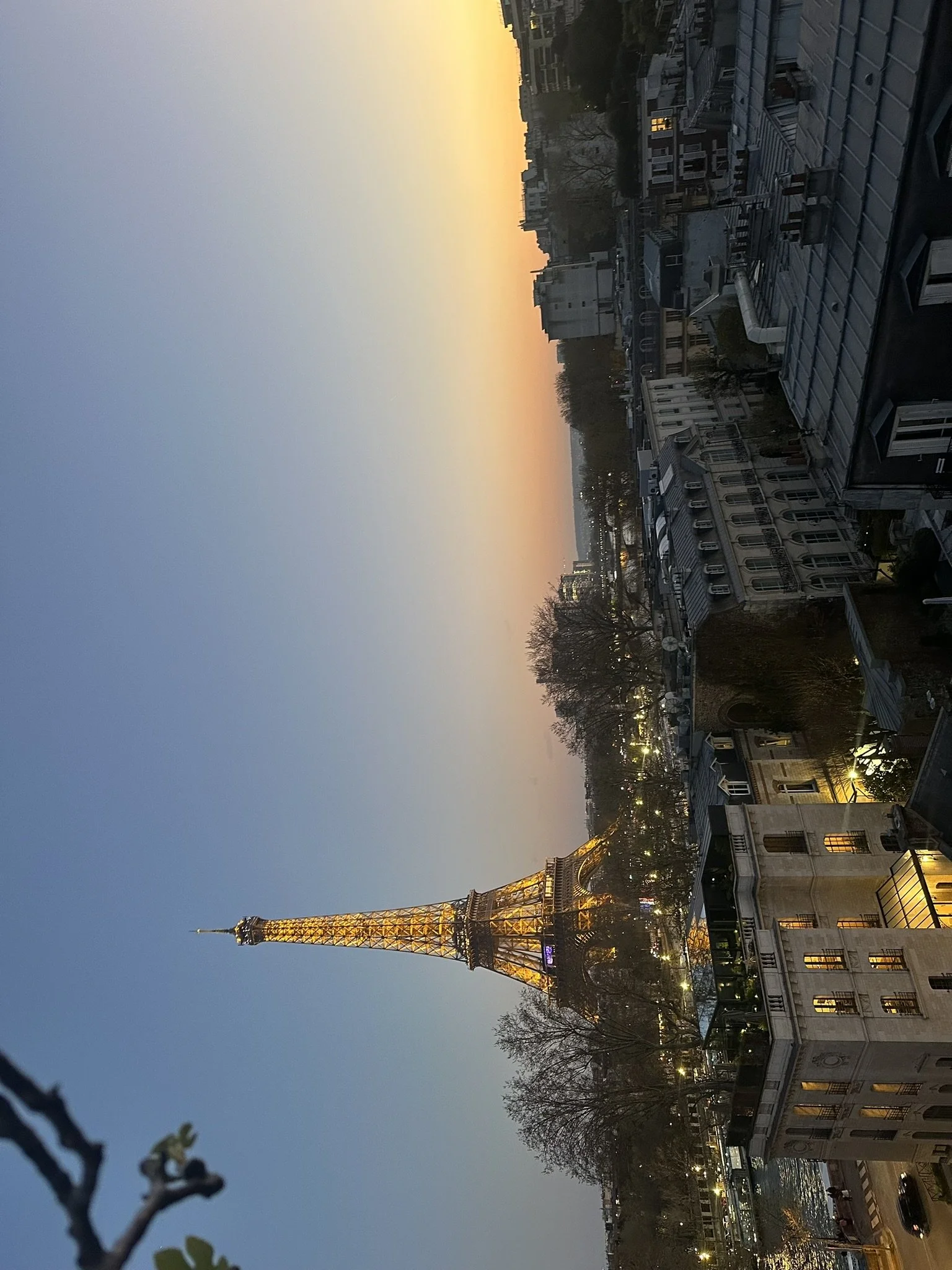 BFC1BA36-F3D5-4094-860F-2870B784EF8E_1_102_a.jpeg