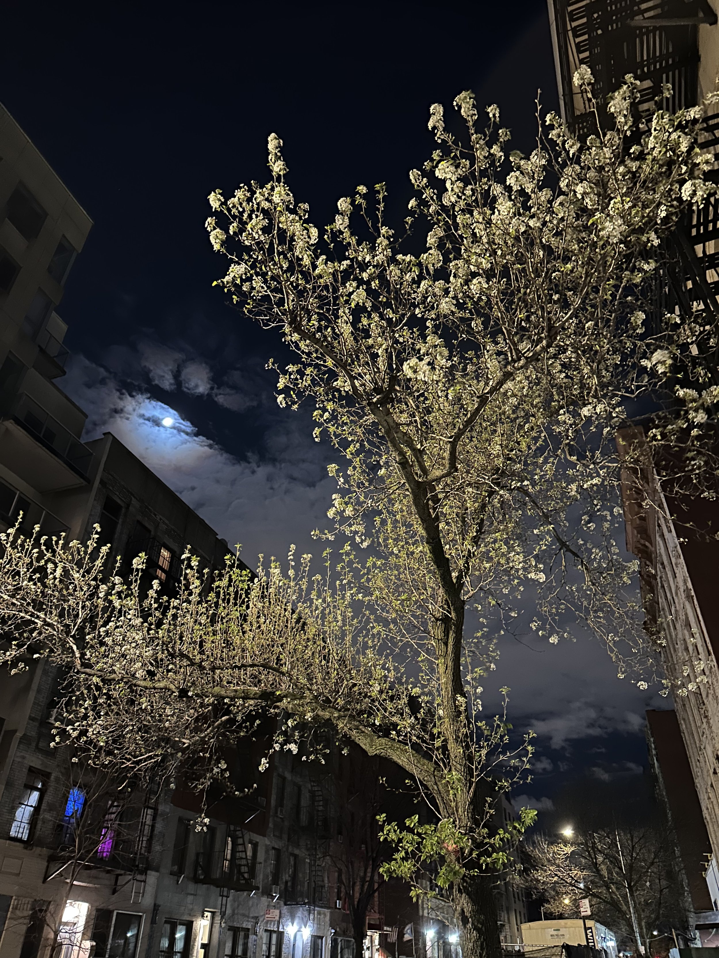 IMG_0150.jpeg