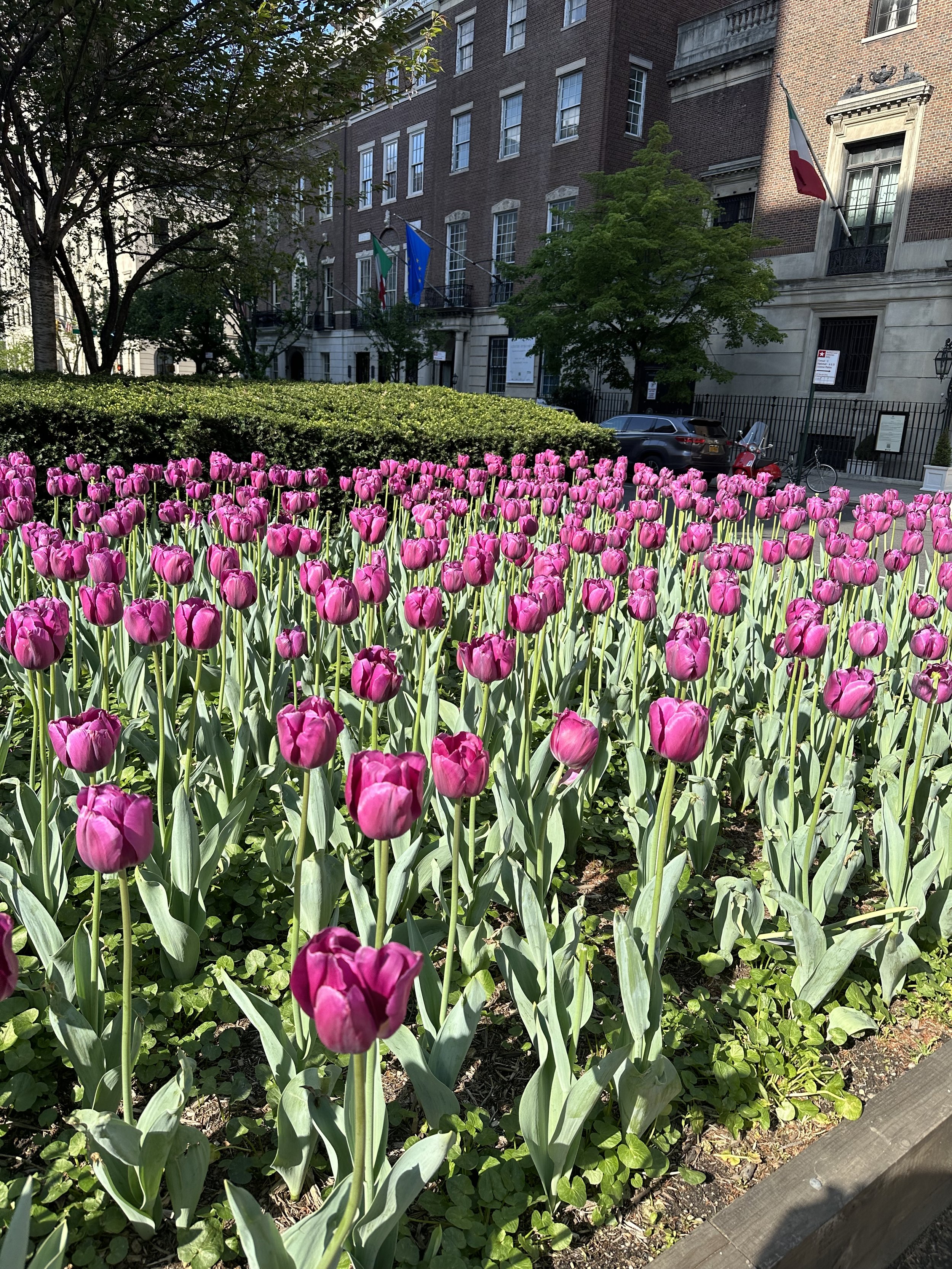 IMG_1017.jpeg