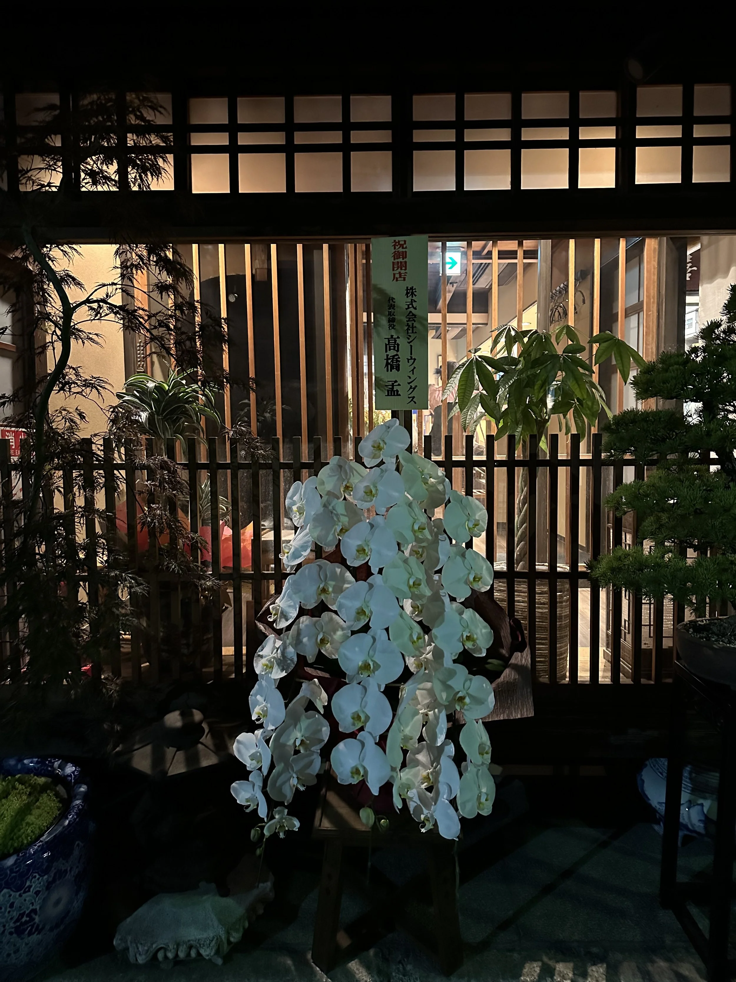 IMG_1999.jpeg