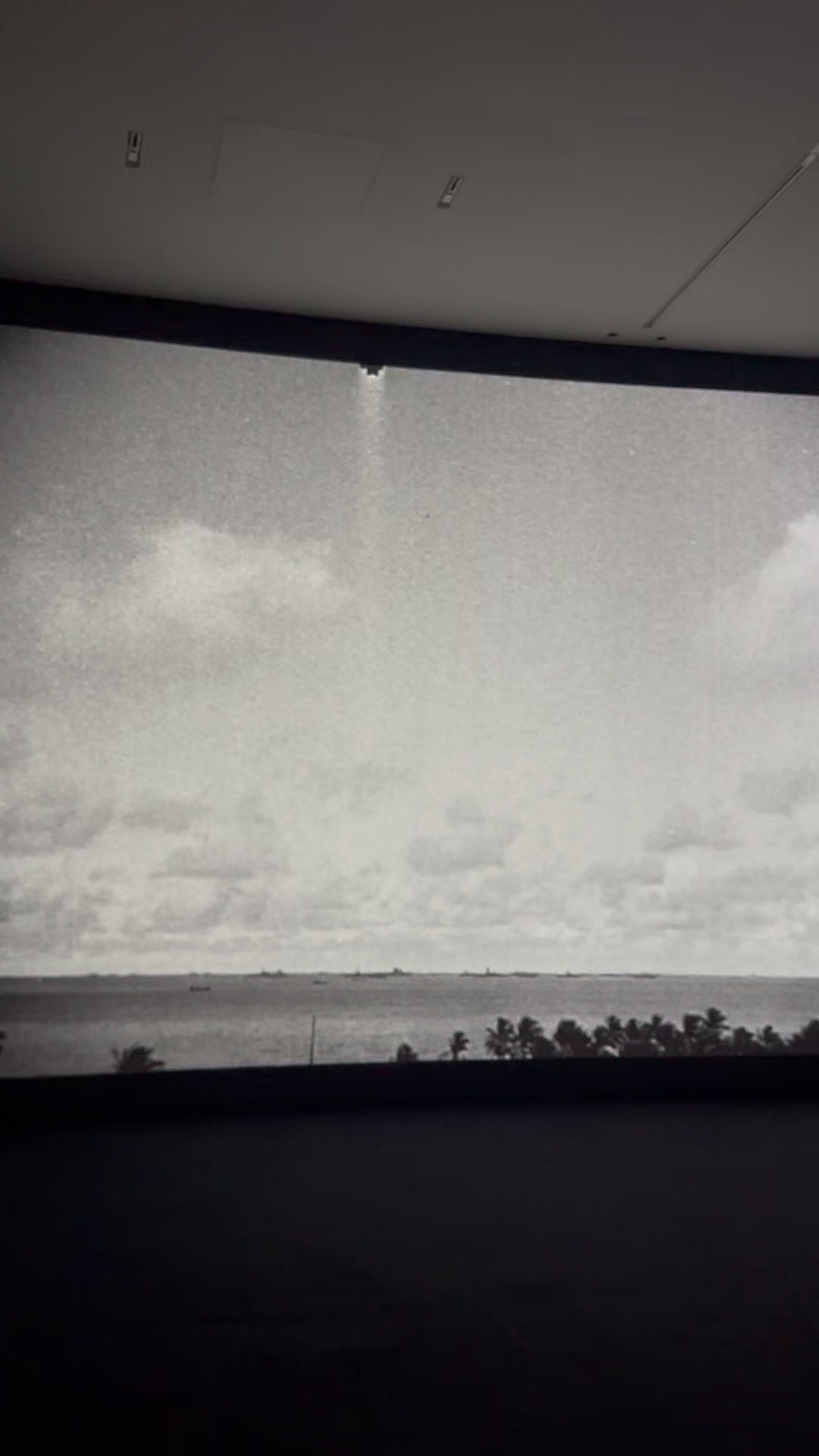 D0237E5F-8741-41FC-B3FB-267A0E882947_1_102_o.jpeg