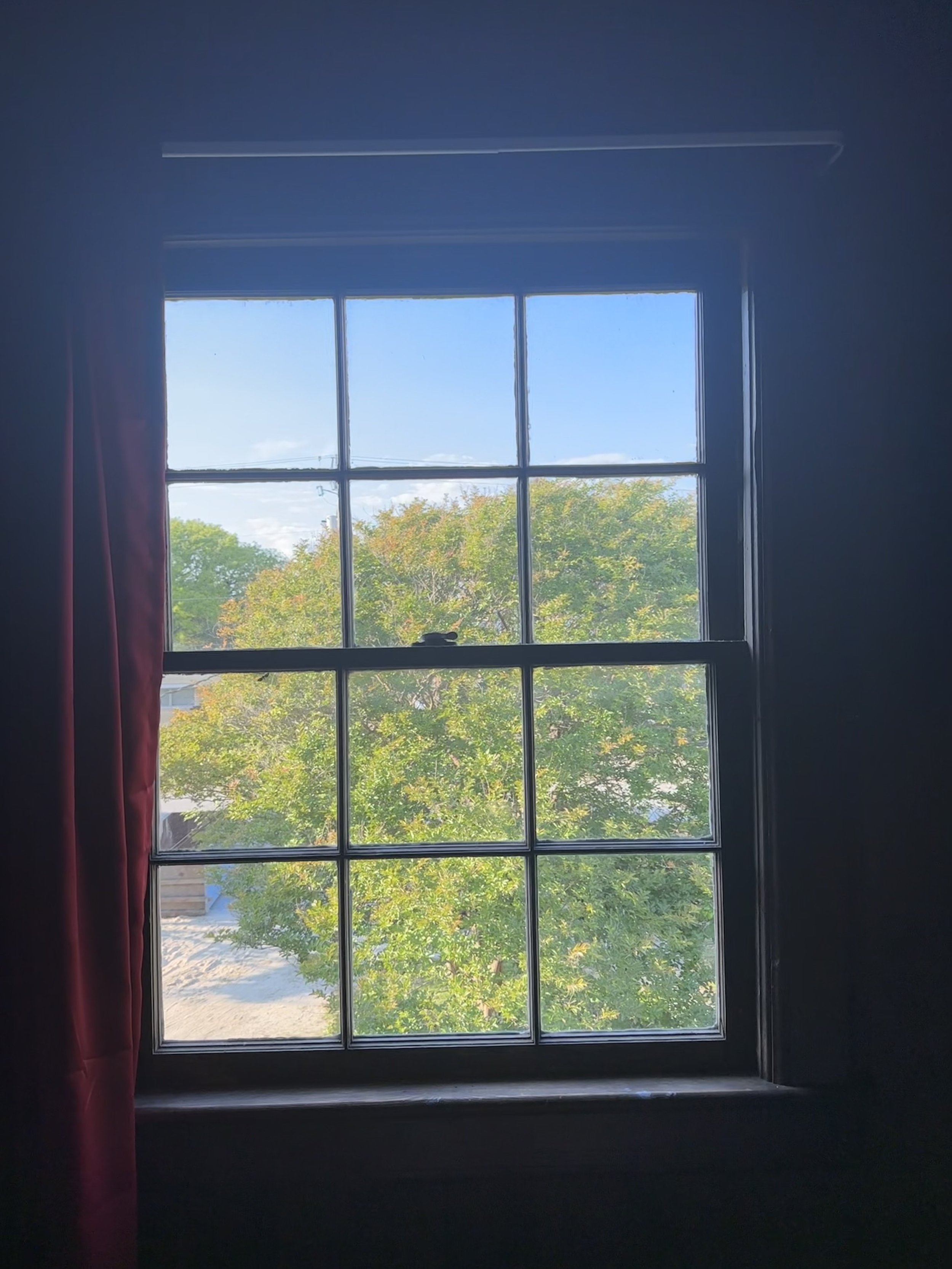 IMG_1557.jpeg
