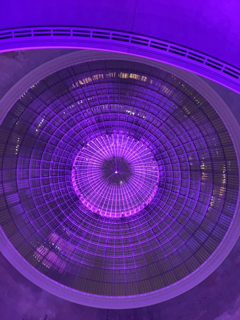 FC933036-C0BB-43EA-AD24-0334A6D41848_1_105_c.jpeg
