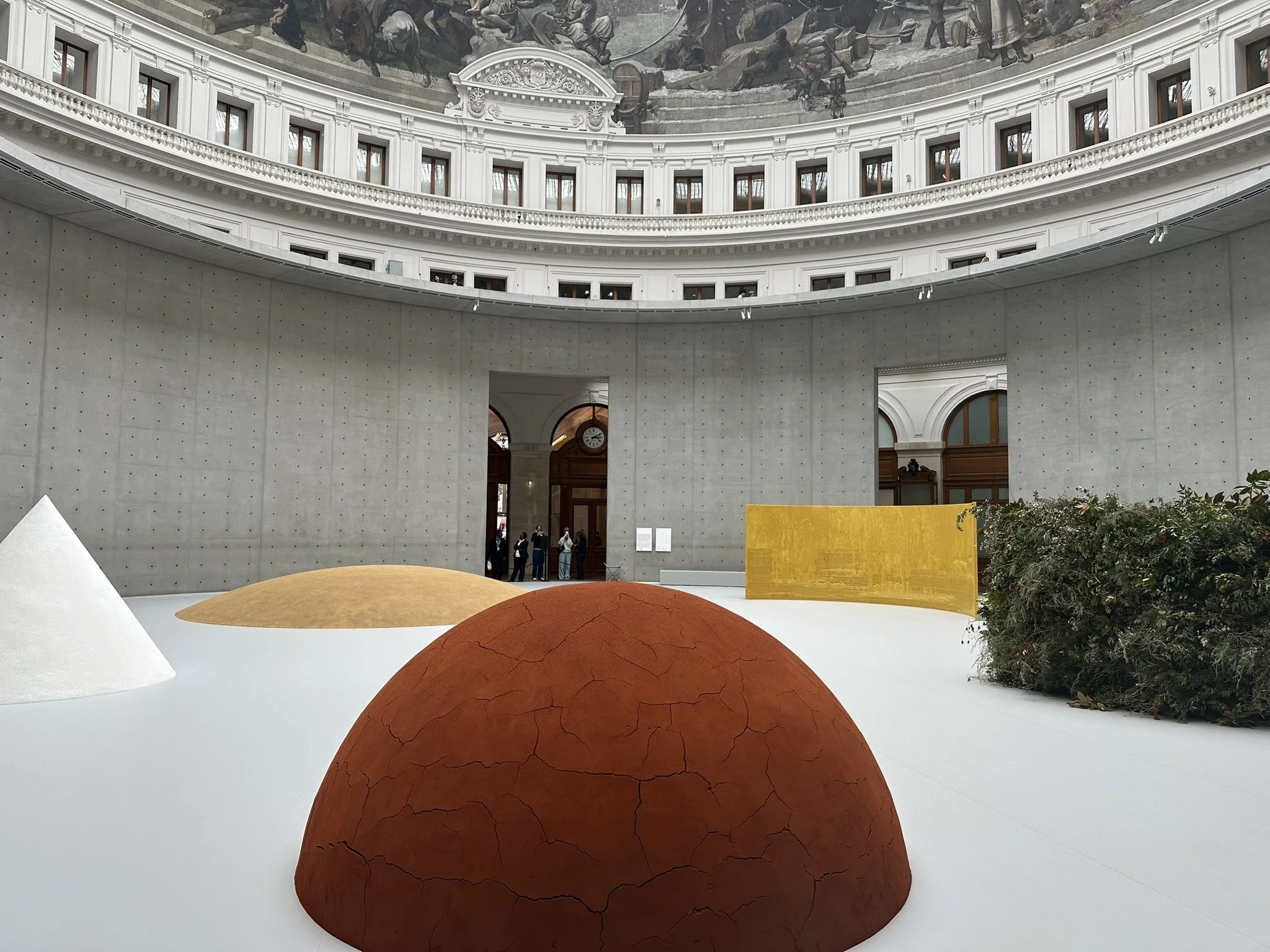 7E81C7EA-DE23-471D-AEE2-E08CC575F73A_1_102_o.jpeg