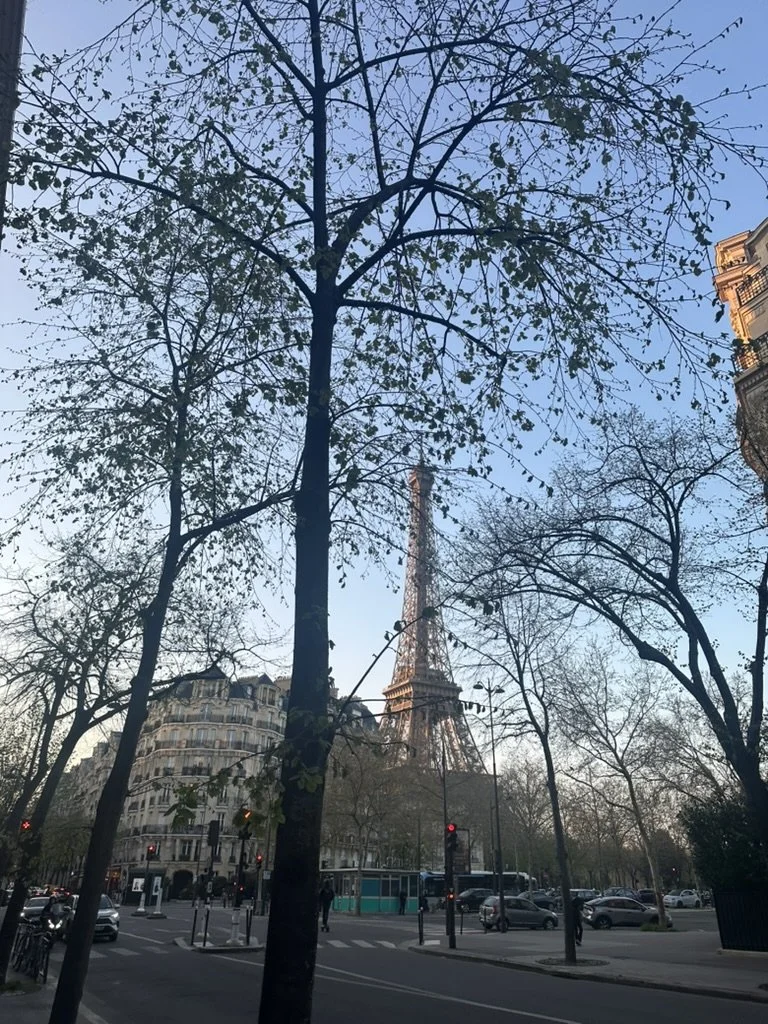 949C423F-B53A-4DA3-BC35-E26E149057B6_1_105_c.jpeg