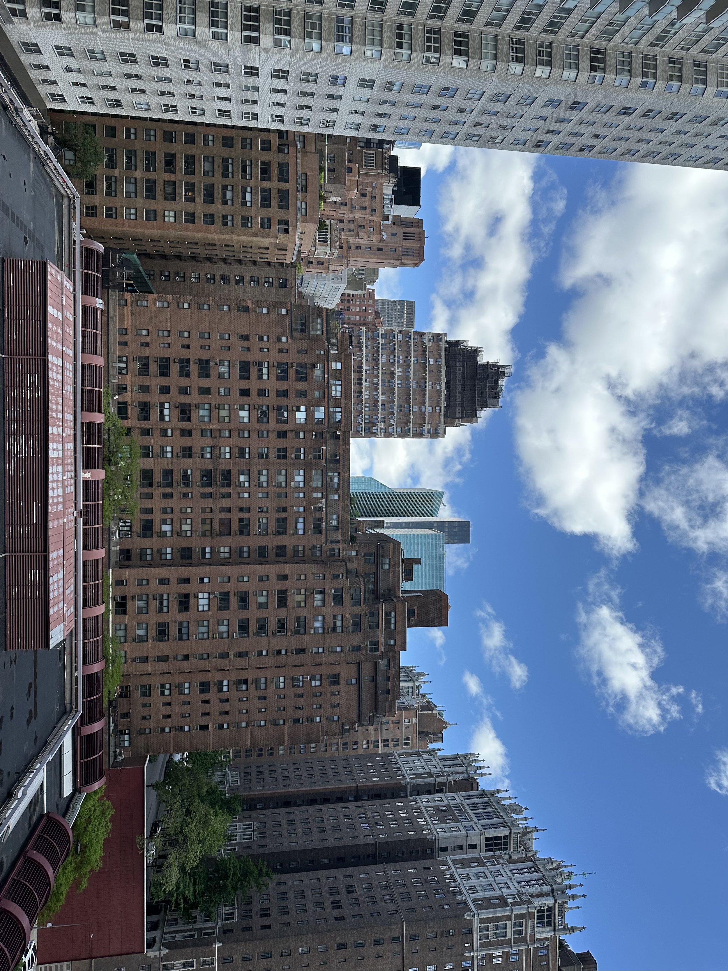 IMG_8744.jpeg