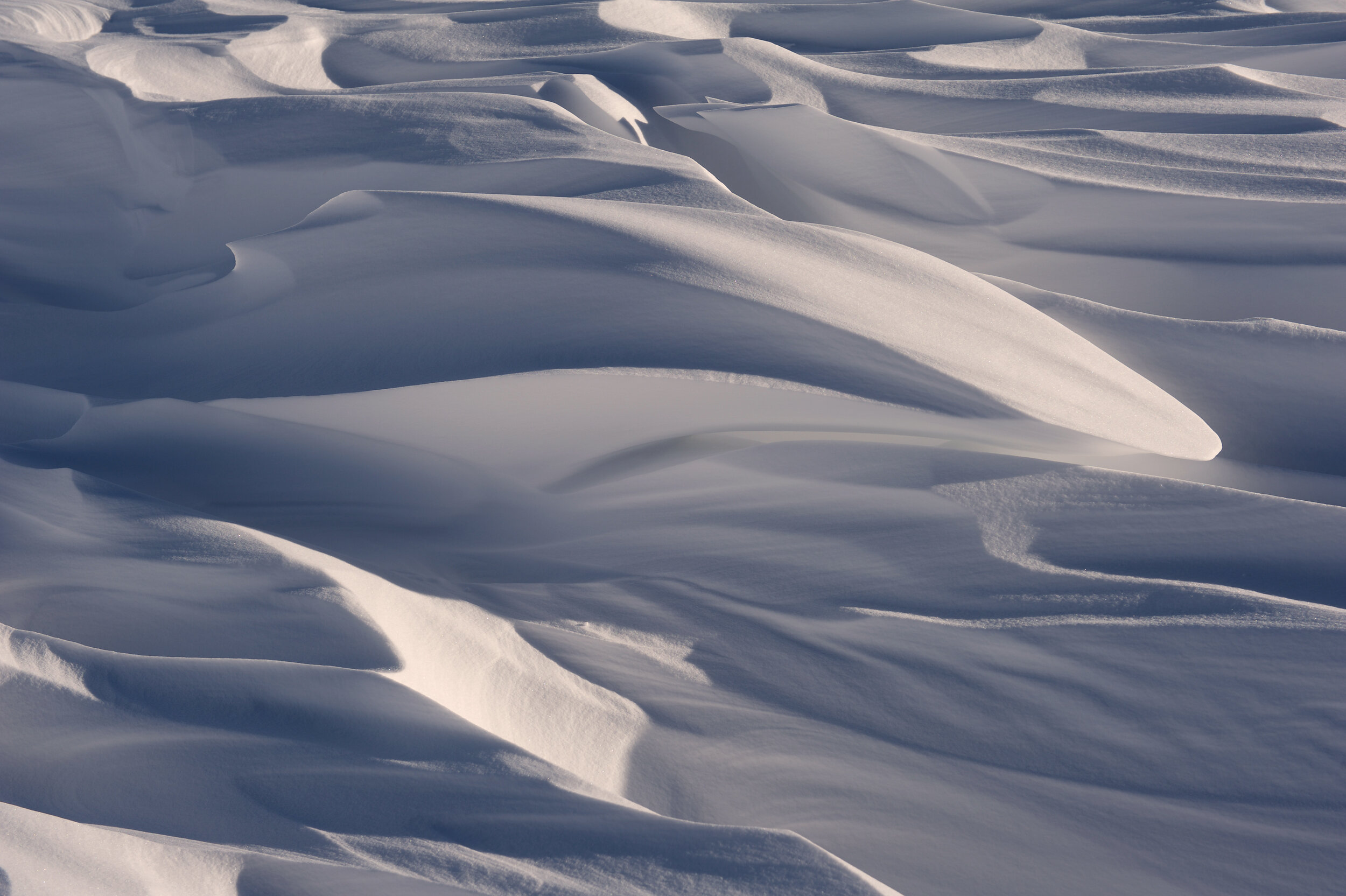 Snow-drift.jpg
