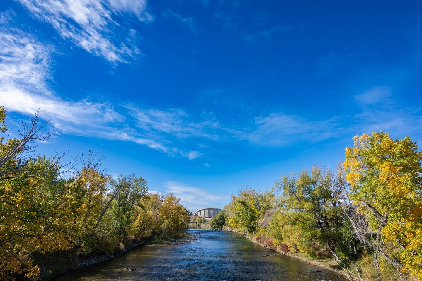 ✨ Did you know?

Right behind Stampede Park, tucked into the heart of The C+E, there&rsquo;s a whole stretch of greenspace just waiting to be explored.

Welcome to ENMAX Park &mdash; 16 acres of riverfront pathways, rolling lawns, art, and wild‑at‑yo