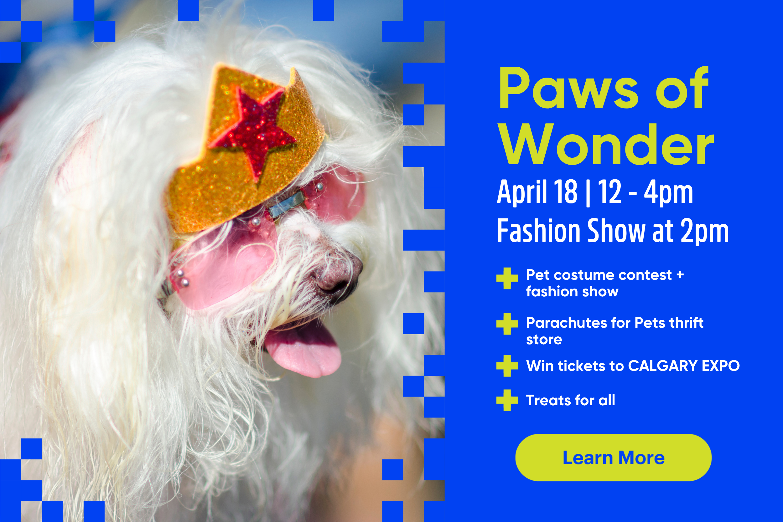 Paws of Wonder Web Graphic_FINAL.png