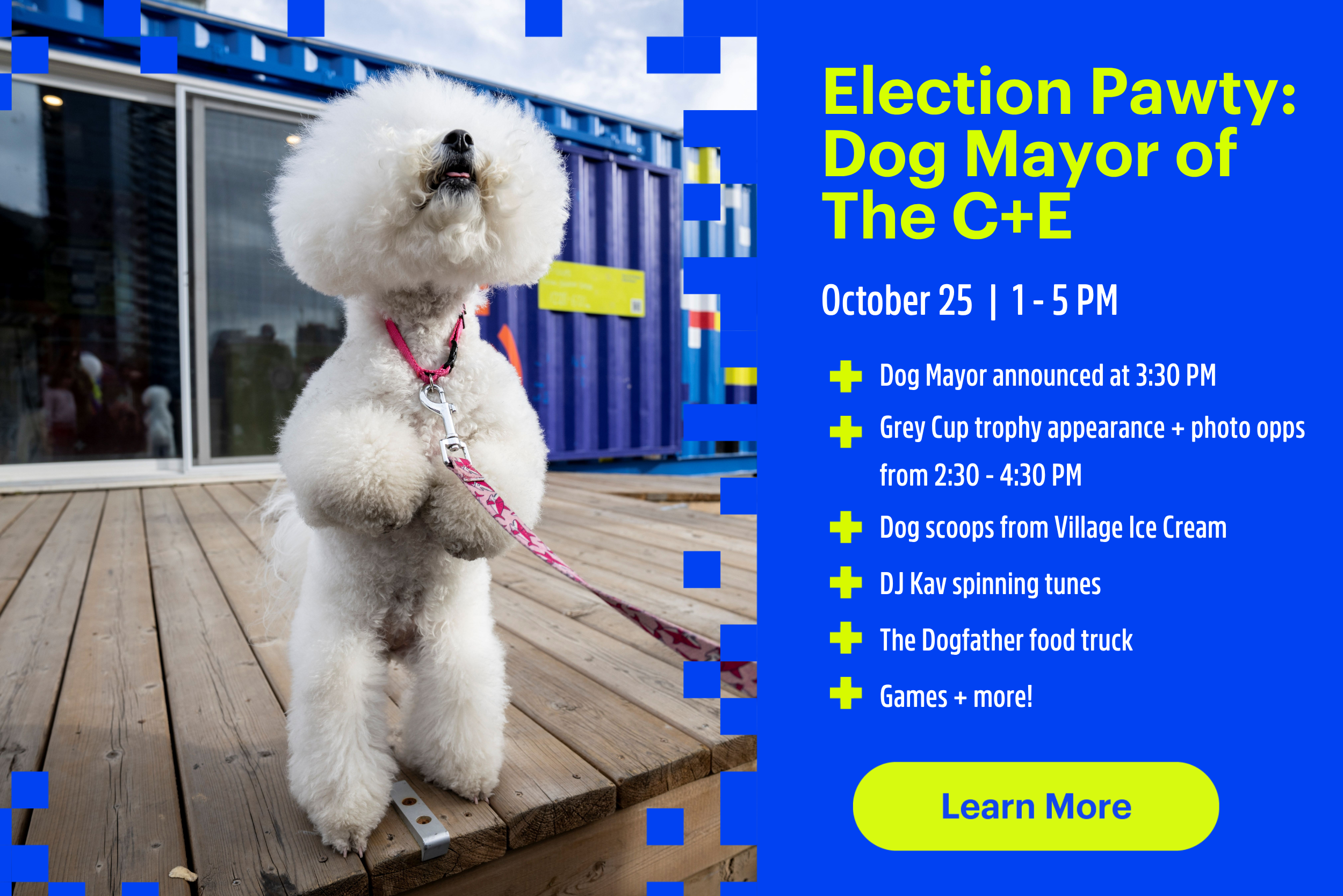 Election Pawty: Dog Mayor of The C+E