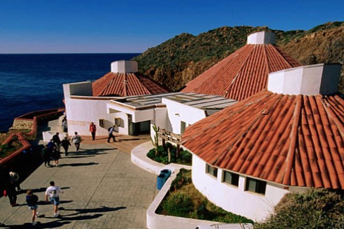 Bufadora-platform.jpg