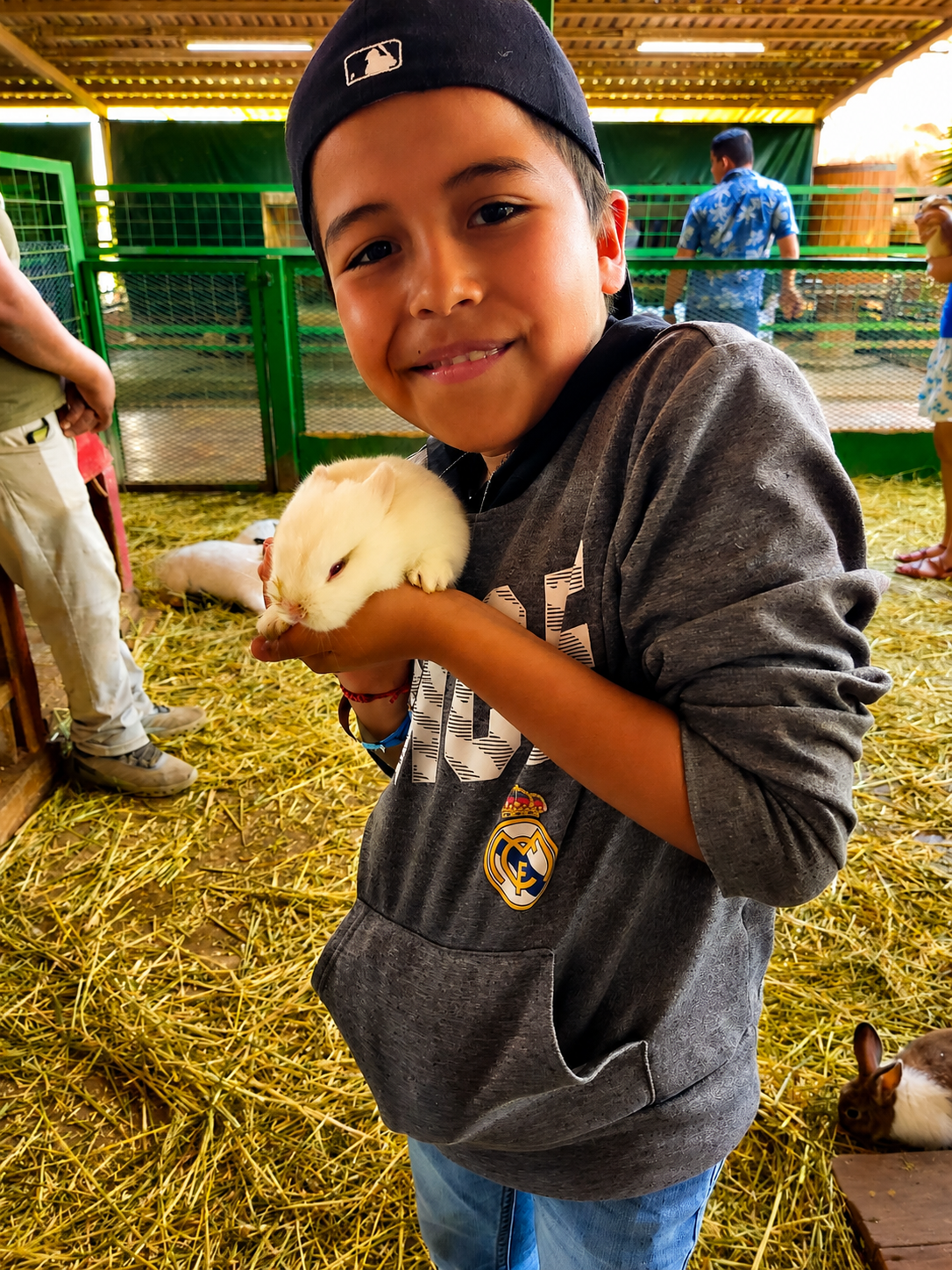 Kid petting a bunny in Pai Pai Animal Center