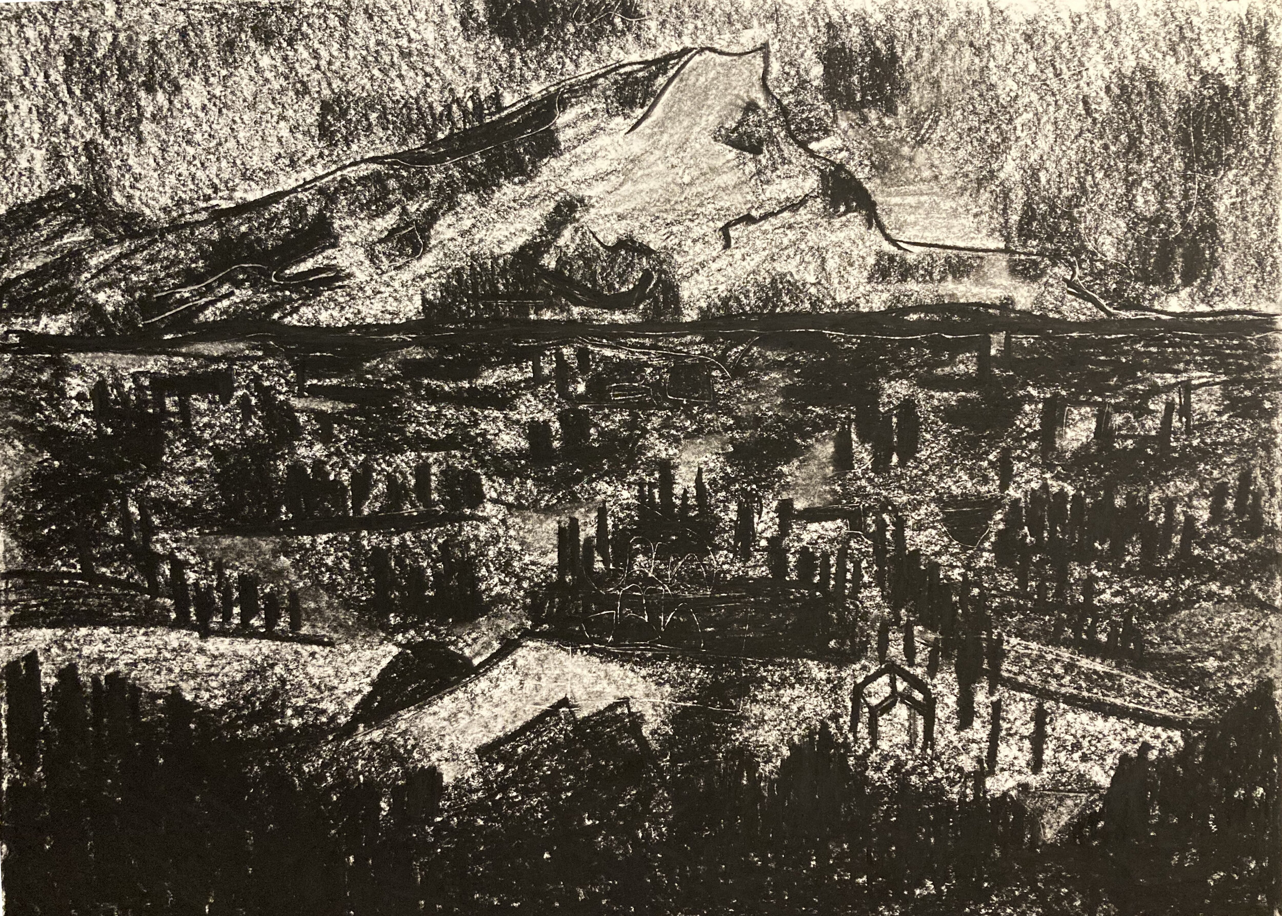 Julianna Rodriguez - Monet Drawing