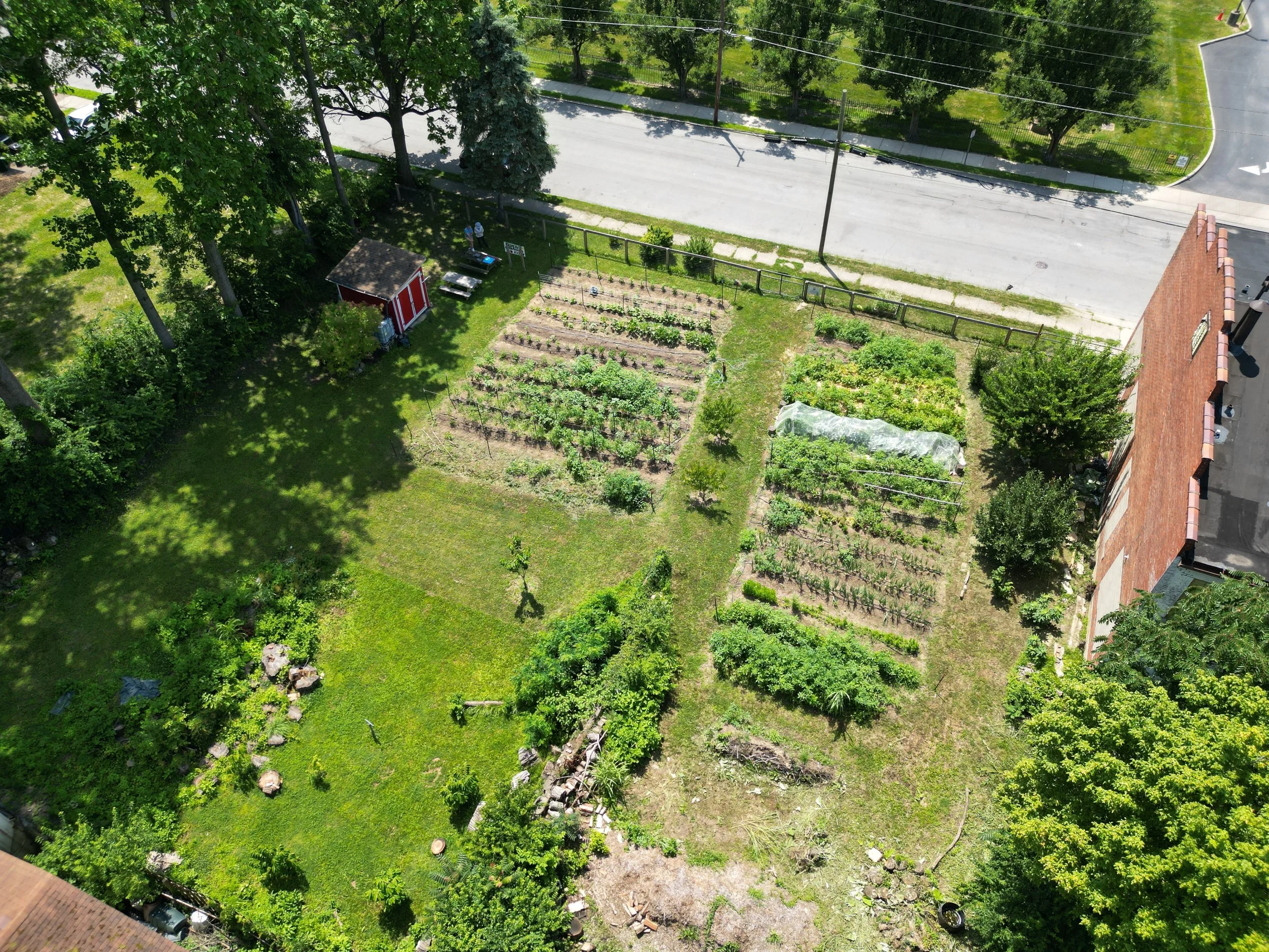 DJI_0252.JPG