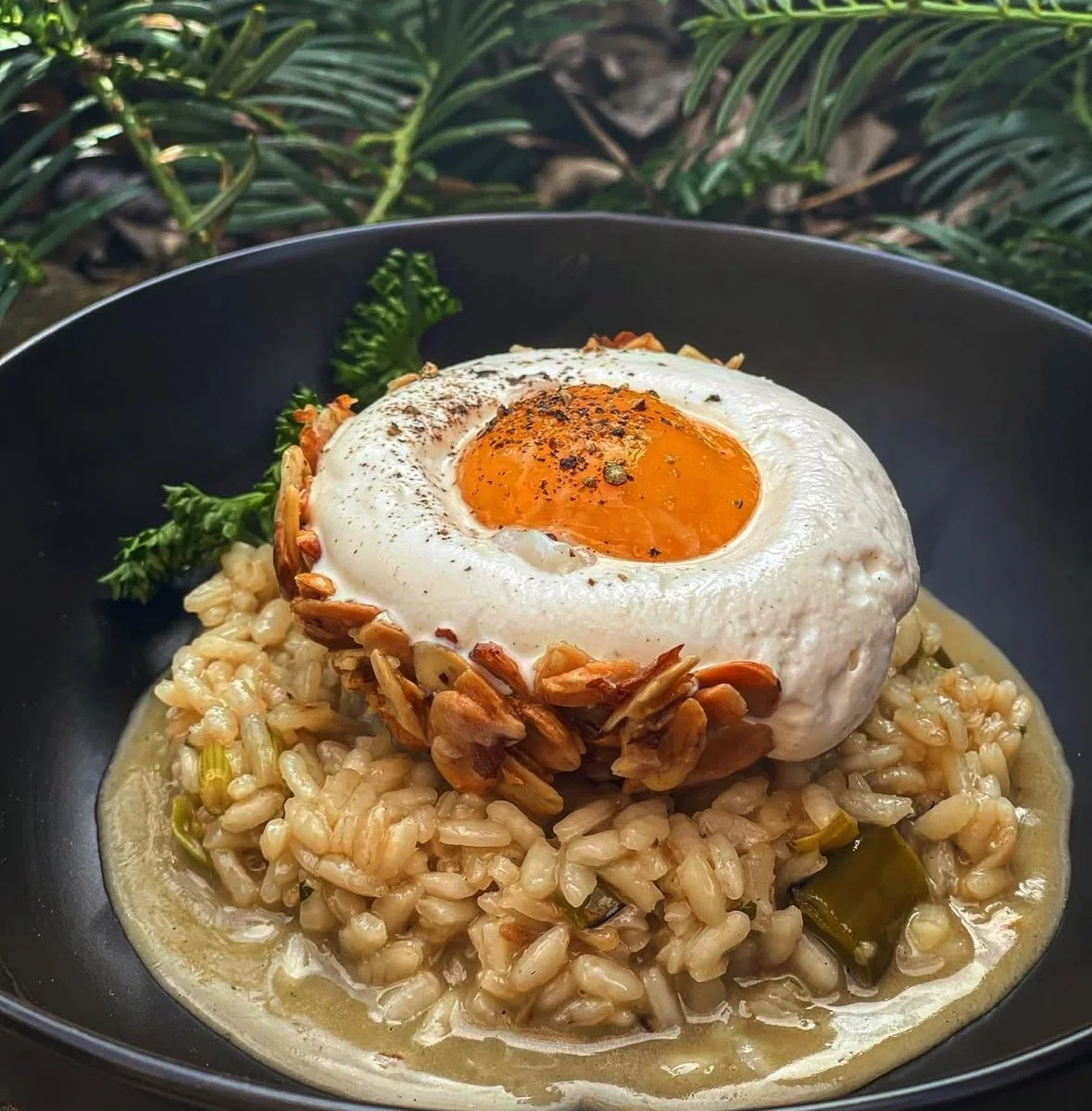 Ricotta+Risotto Cooking Class (Sept 4)