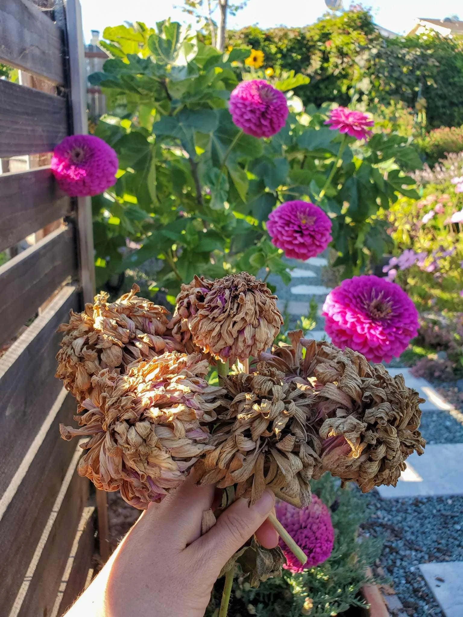 Seed Saving Workshop (Sept 24)