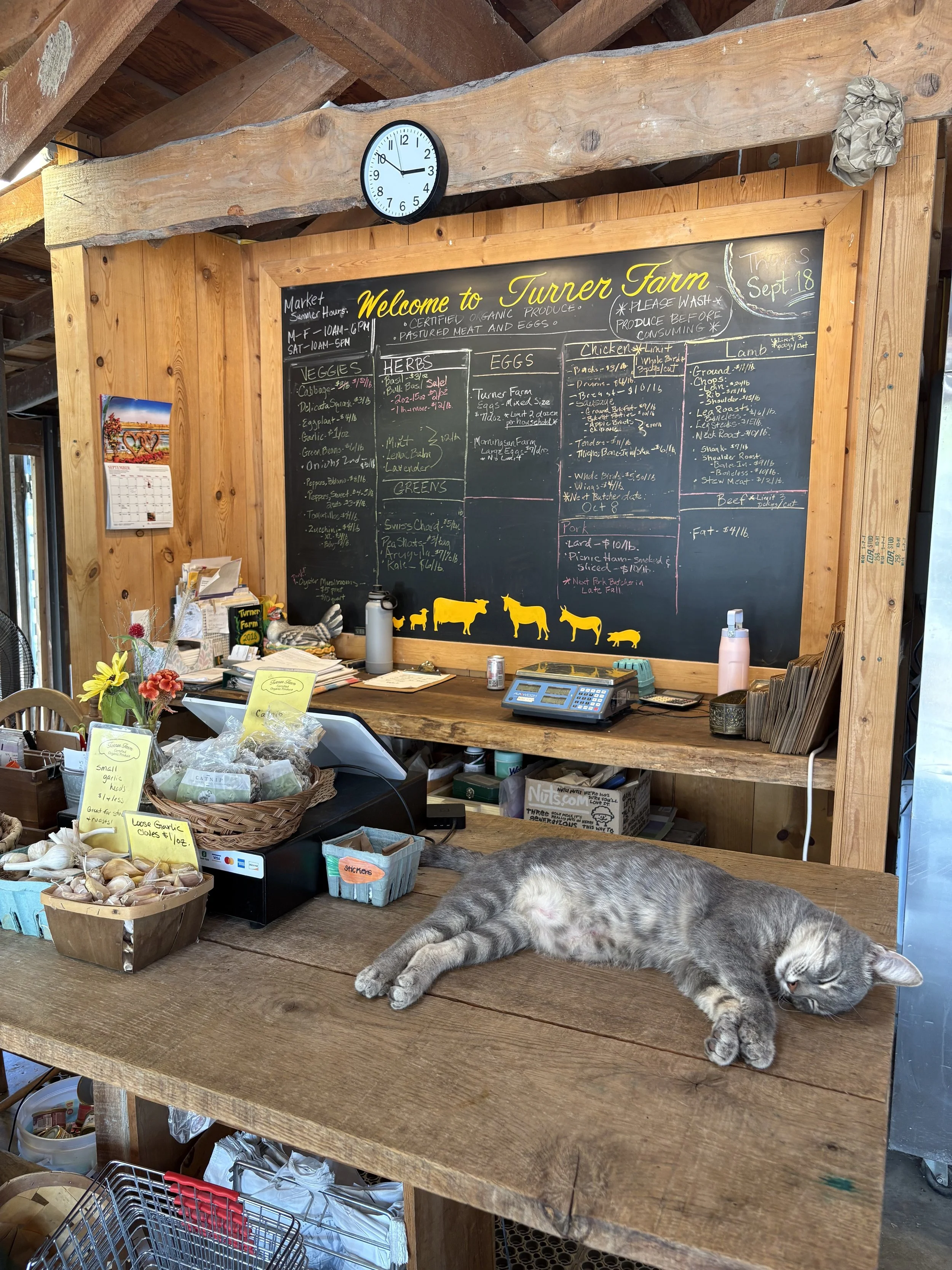 Summer Market Hours!