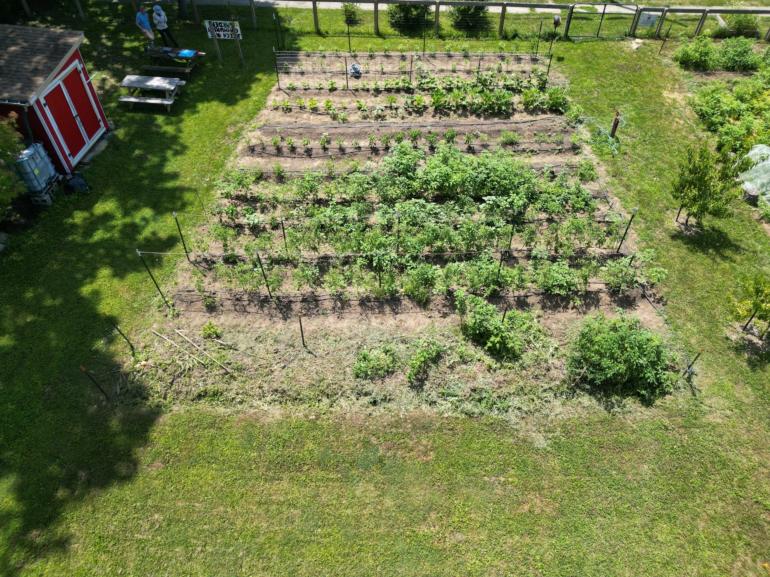 DJI_0249.JPG