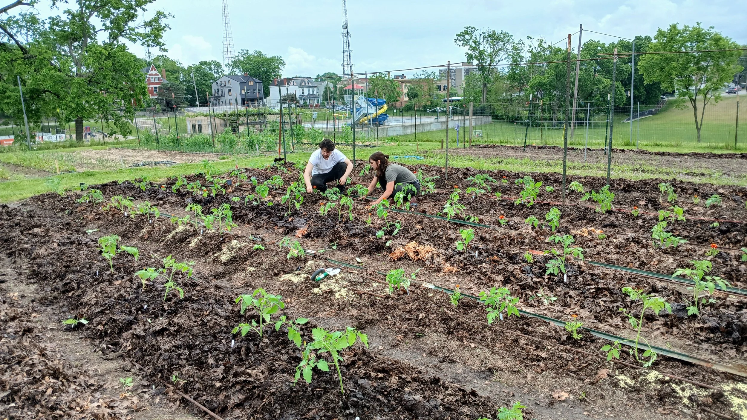 Community Gardens