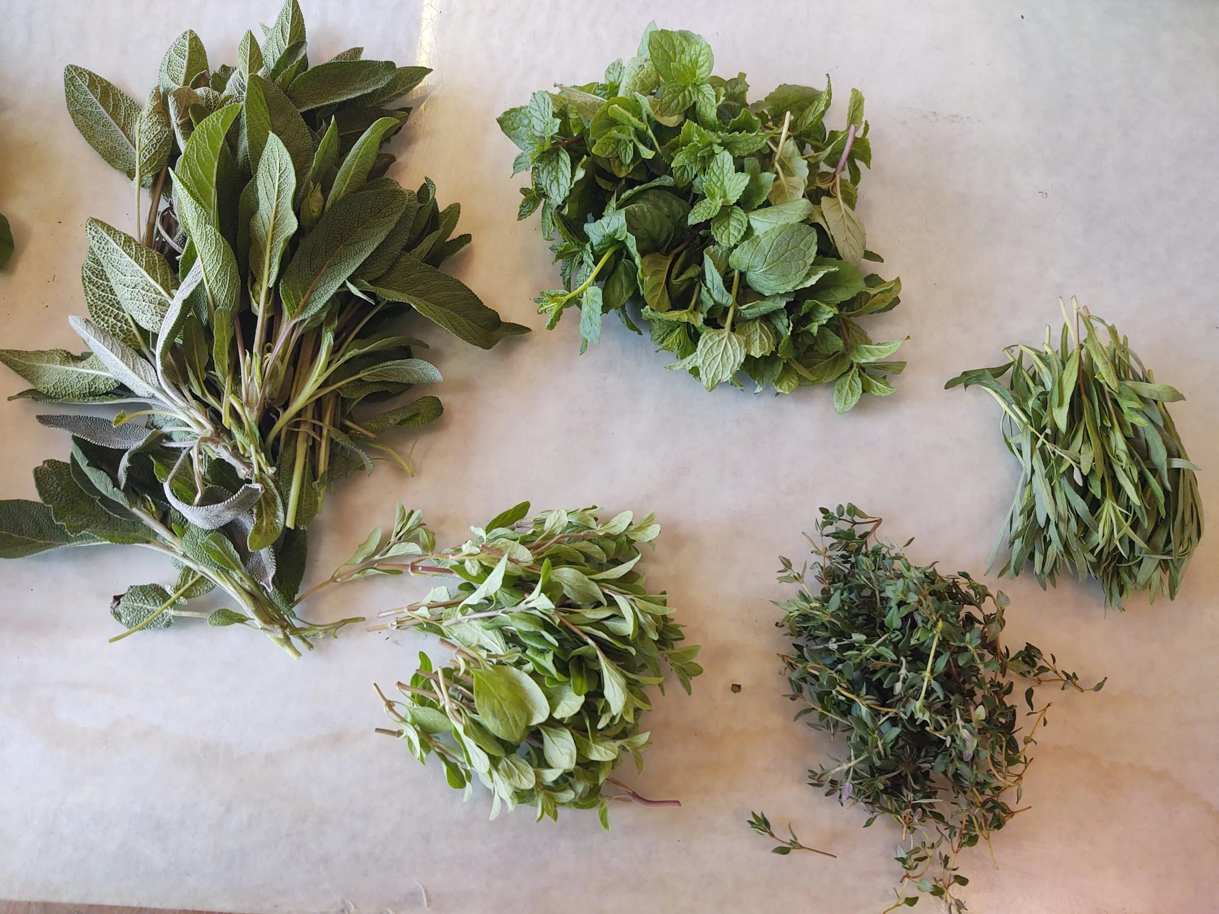 Herbs.jpg