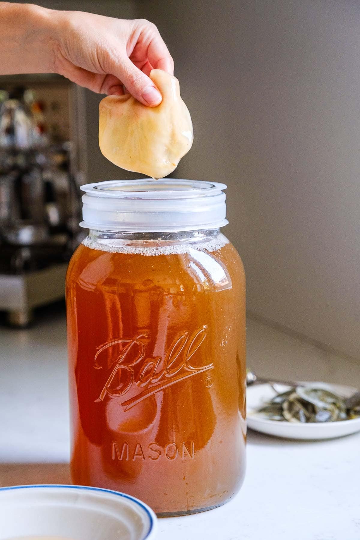 Kombucha-Recipe.jpeg