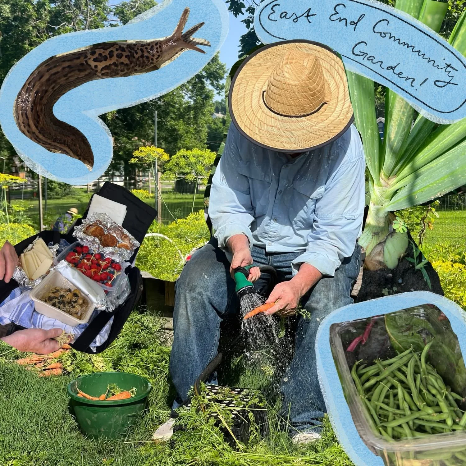 Person with a straw hat, blue shirt, and blue jeans, sittting down washing a carrot with a hose and sprayer. There is a collage of pictures around this person including green beans, strawberries, and a large slug.