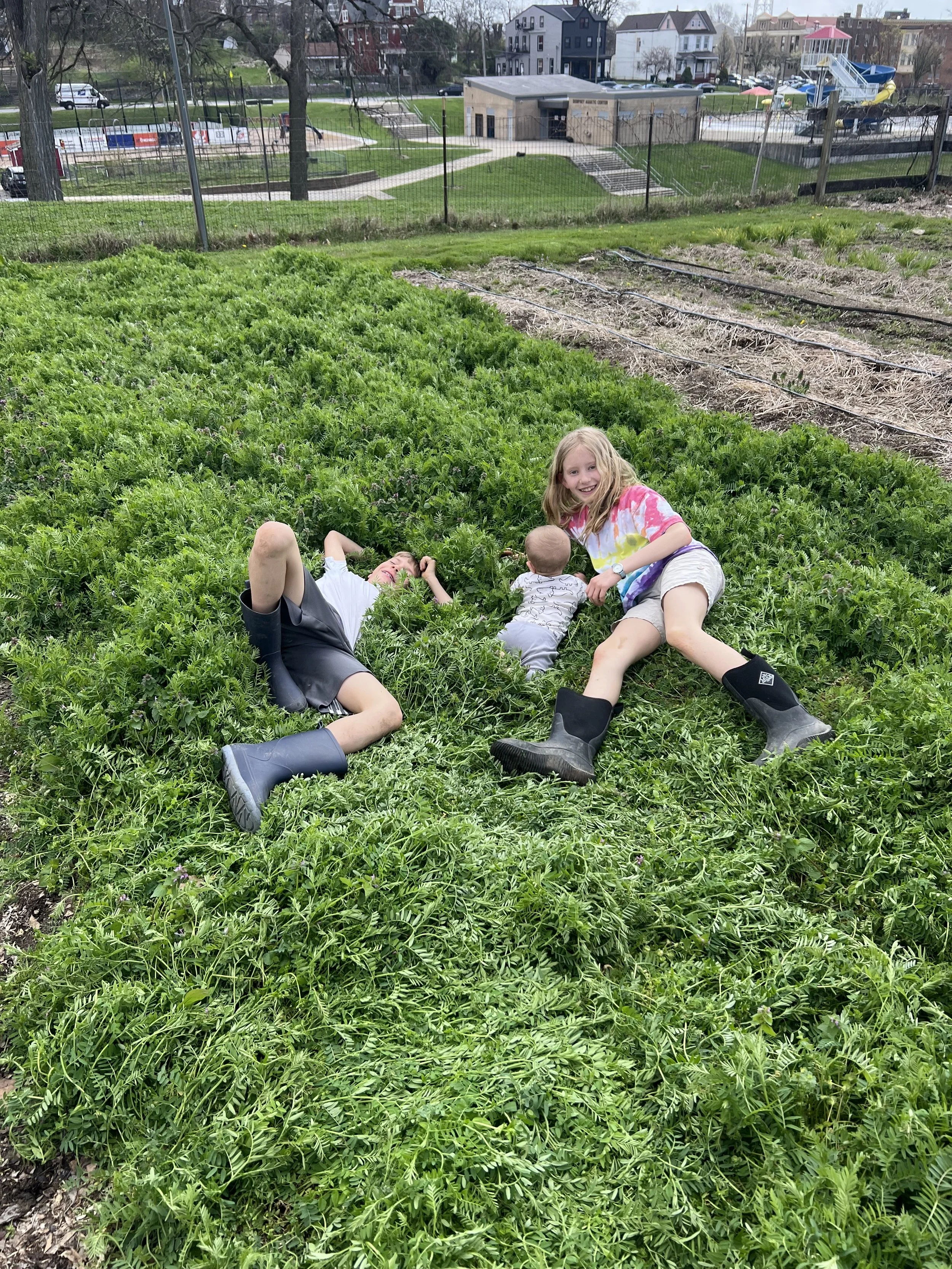 Kids in crop