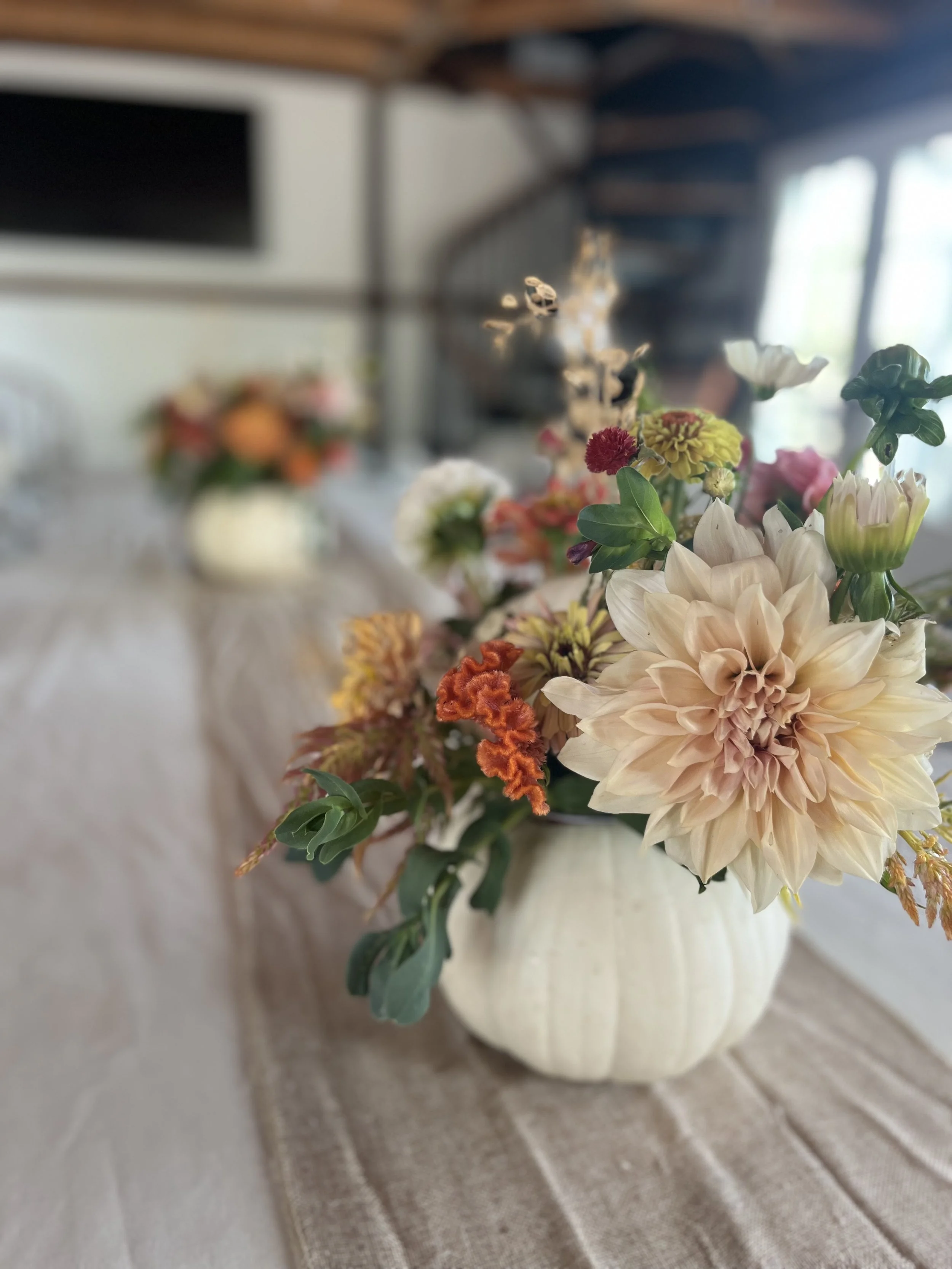 pumpkin arranging.jpeg