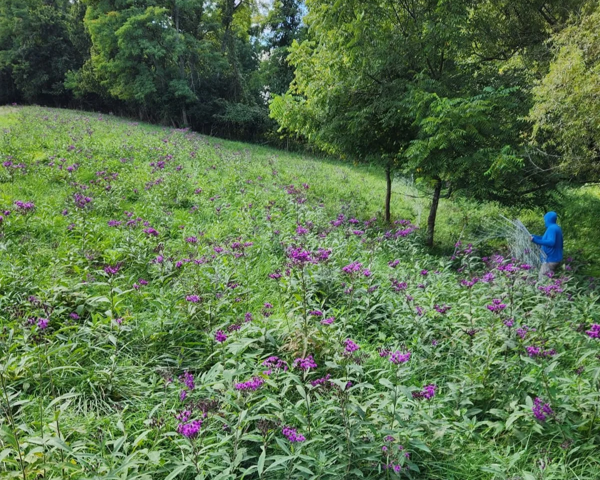 Movable fence for pasture