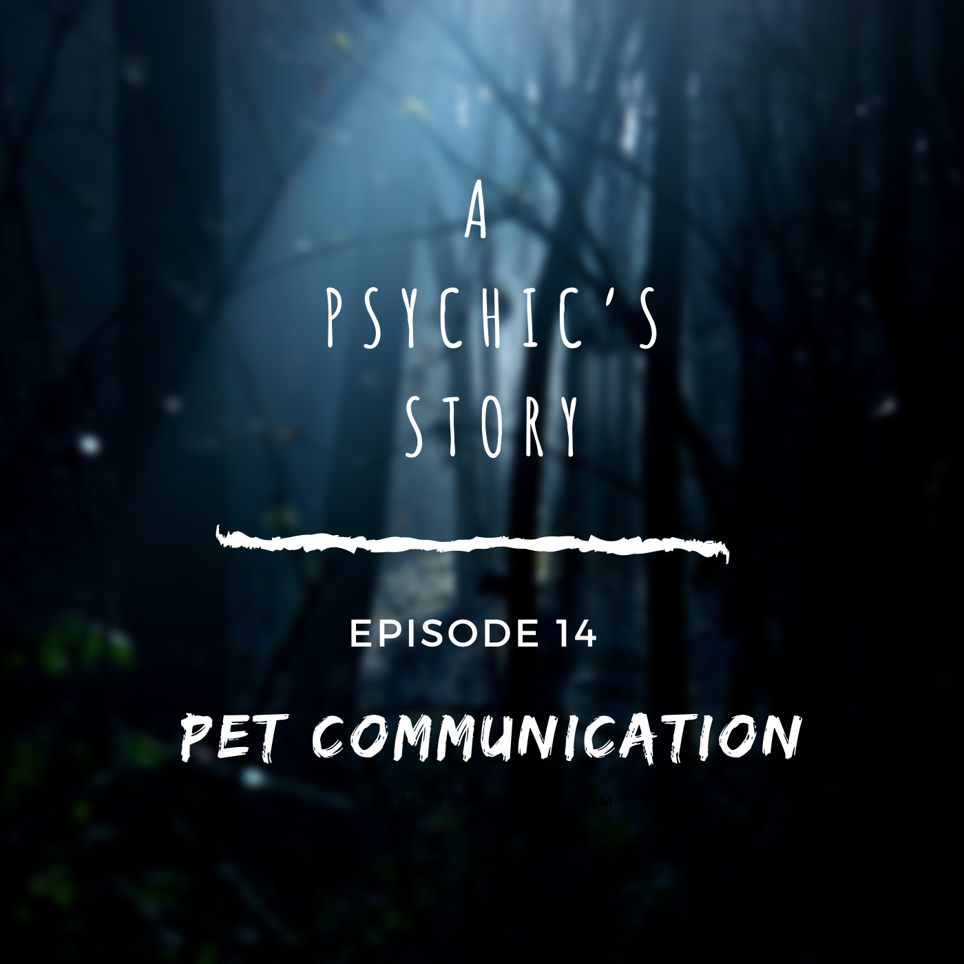 EPISODE 14: ANIMAL COMMUNICATION