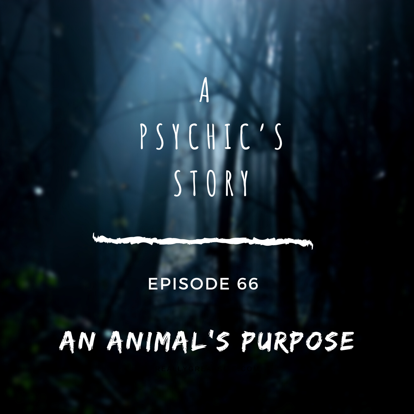 EPISODE 66: AN ANIMAL’S PURPOSE