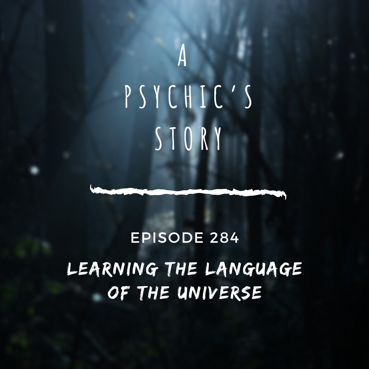 EPISODE 284: LEARNING THE LANGUAGE OF THE UNIVERSE (WITH COLETTE BARON-REID)