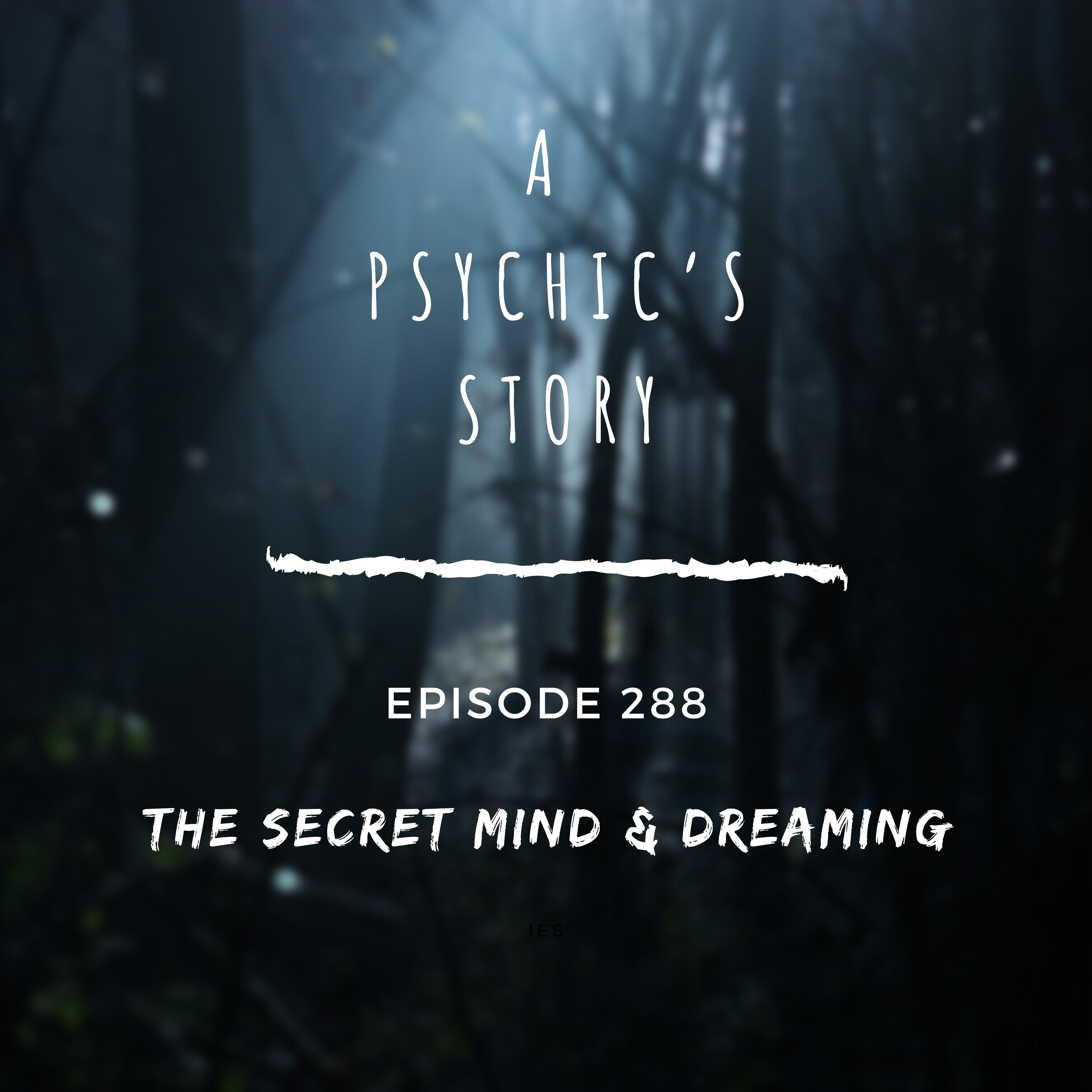 EPISODE 288: THE SECRET MIND AND DREAMING (WITH BONNIE BUCKNER)