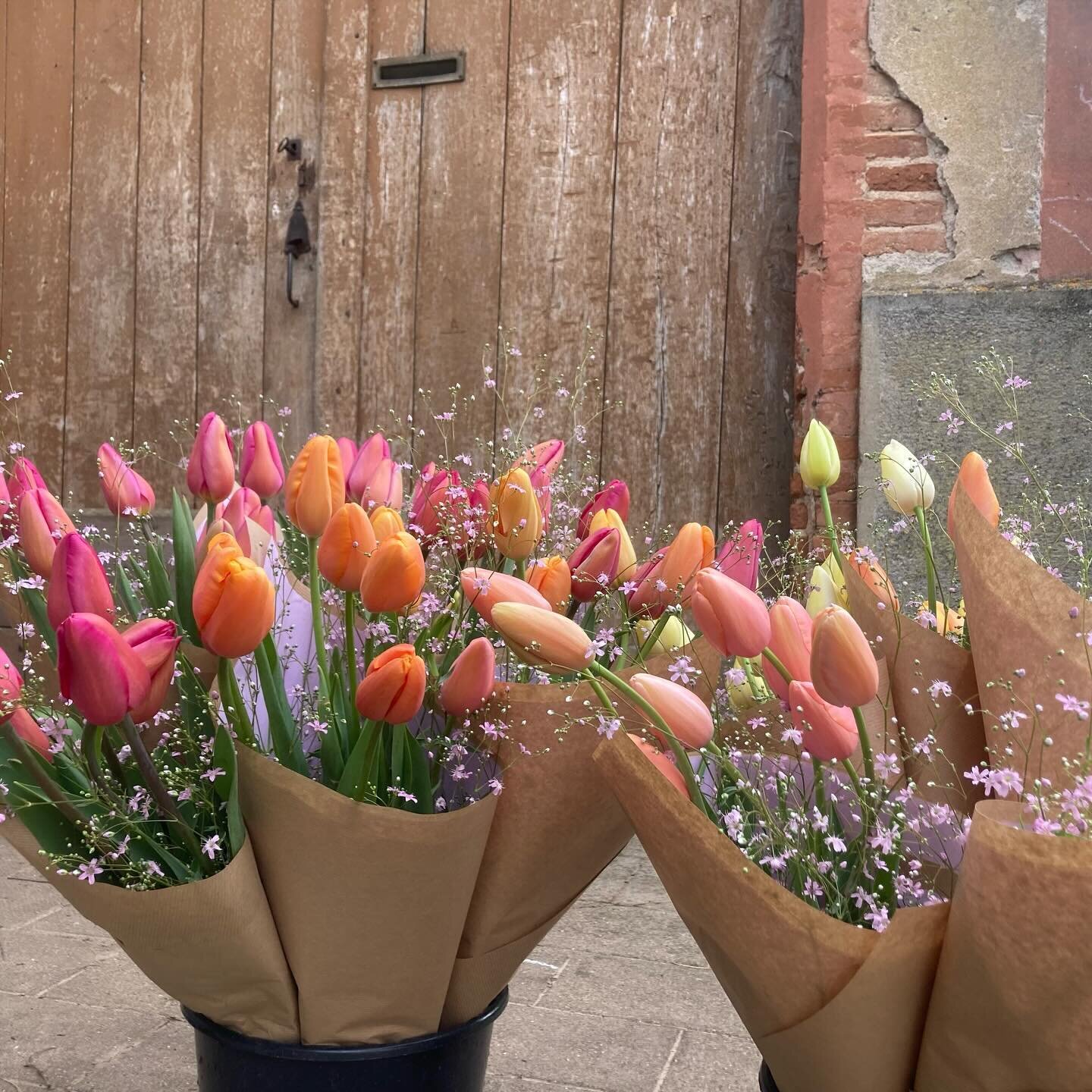 Parmi les milliers de fleurs que vous trouverez sur notre &eacute;tal demain matin, les belles tulipes &agrave; la Fran&ccedil;aise font parti des favoris de P&acirc;ques 🐣 @collectif_delafleurfrancaise @villemontauban