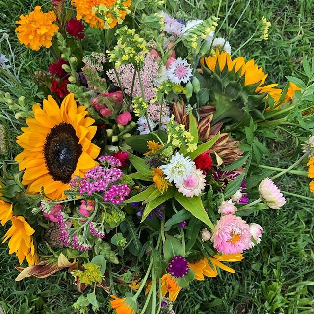 Y&rsquo;all I&rsquo;m not gonna lie, social distancing is hard. I was excited when @livin_the_moontime and @rootsoftheearthhotmailcom suggested we have a little picnic and flower pick at @sassafrass_flowers ! It was exactly what my soul needed. Beaut