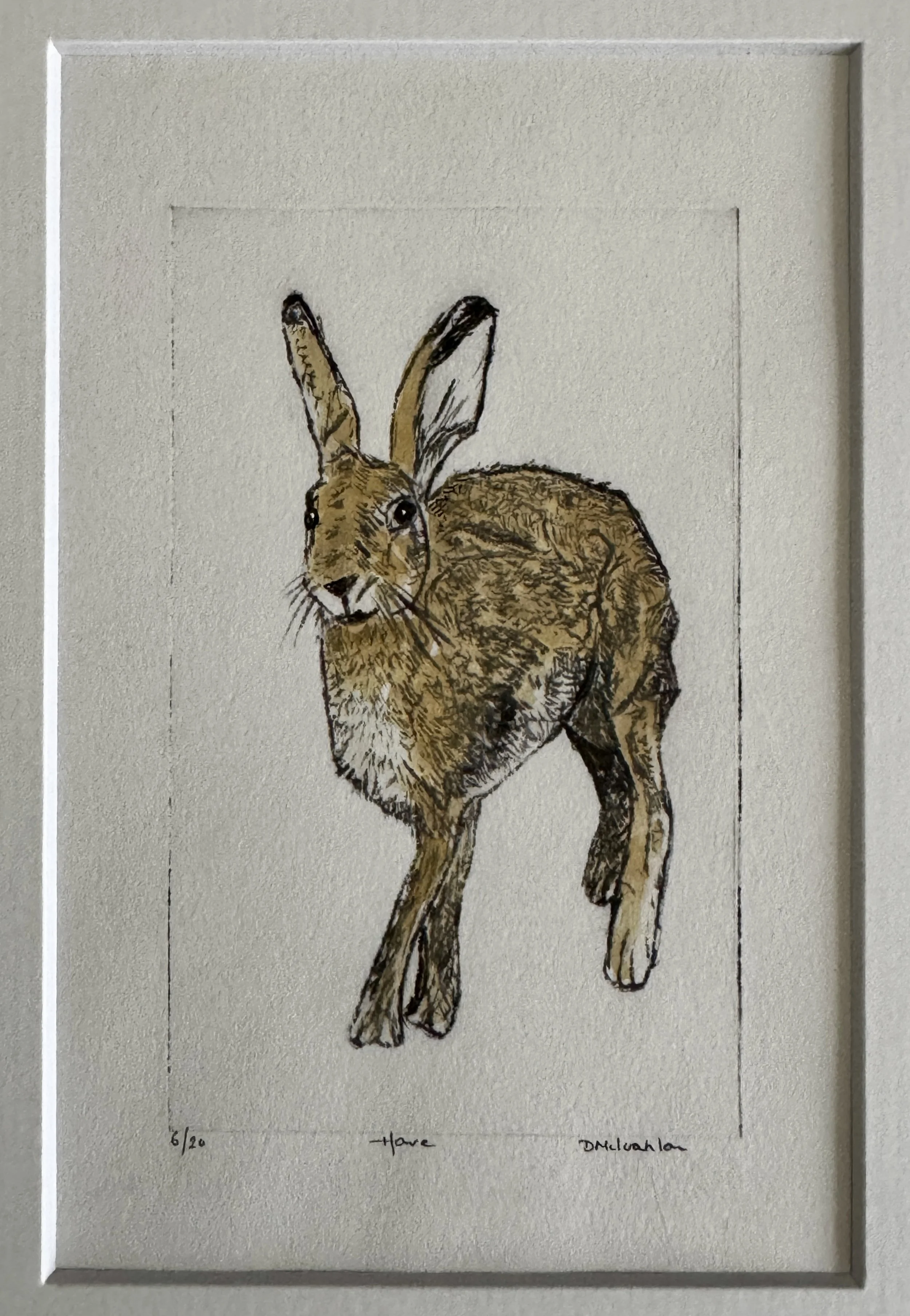 Hare