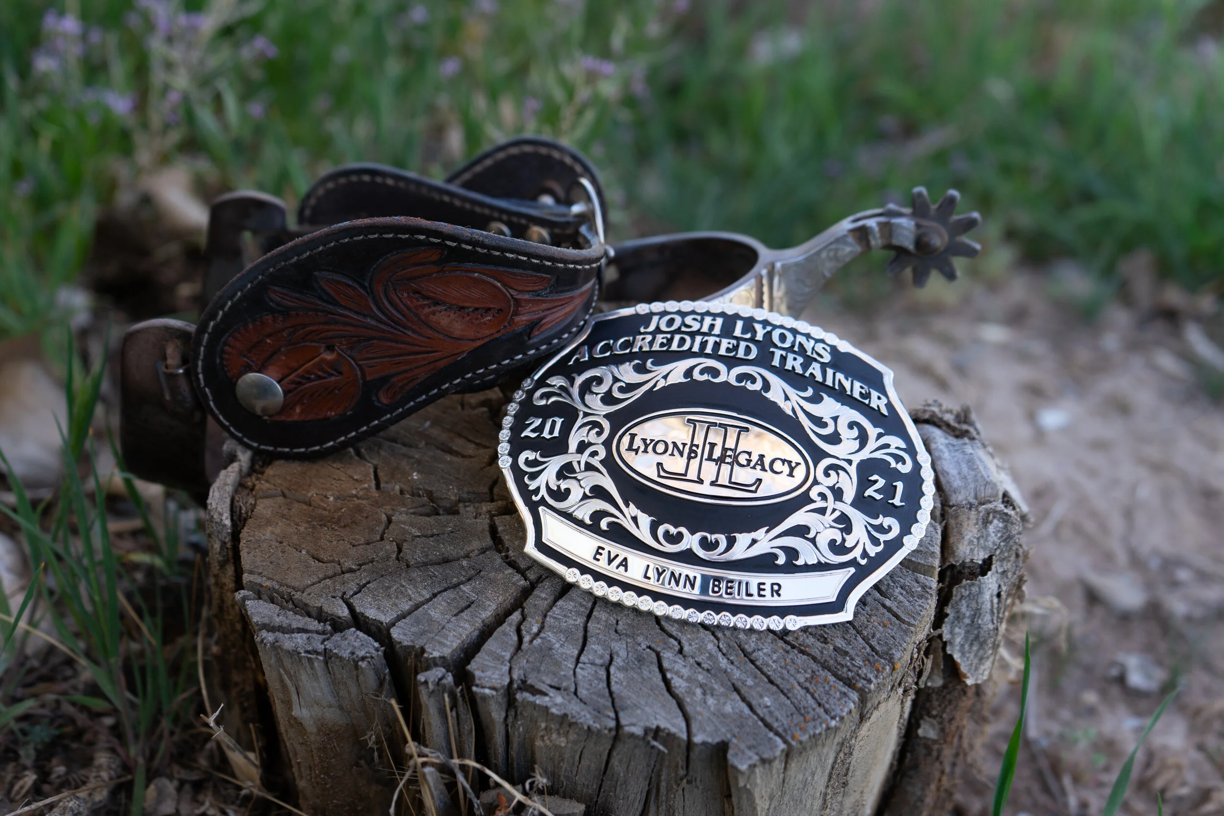 Josh Lyons and the Lyons Legacy Program