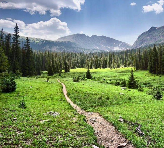 Screen Shot 2021-06-02 at 4.55.34 PM.png