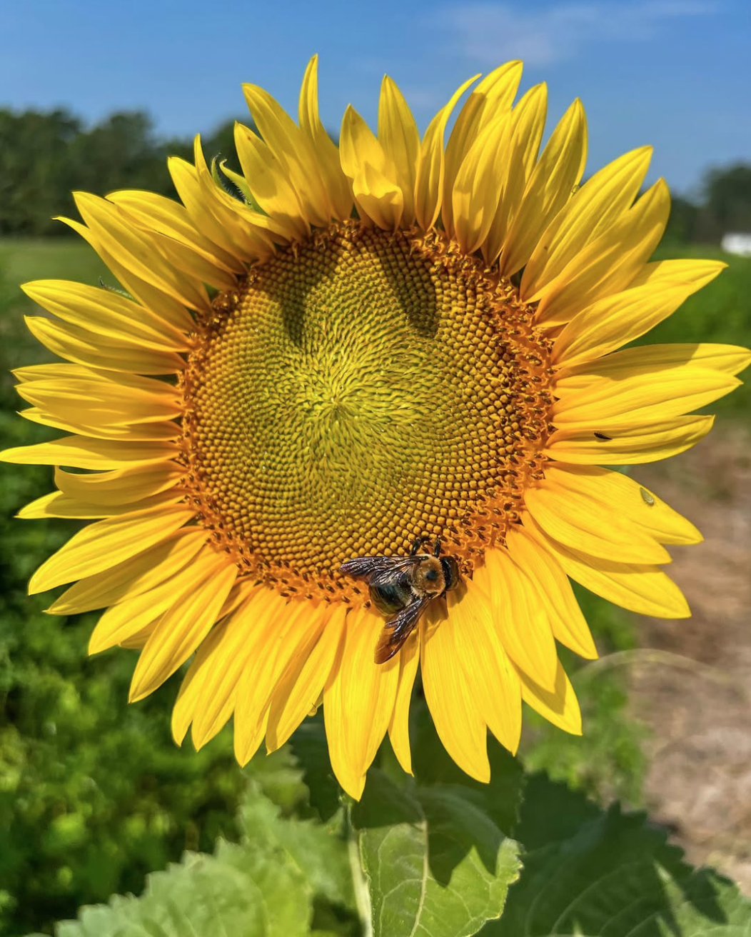 Screen Shot 2025-07-21 at 10.13.52 AM.png