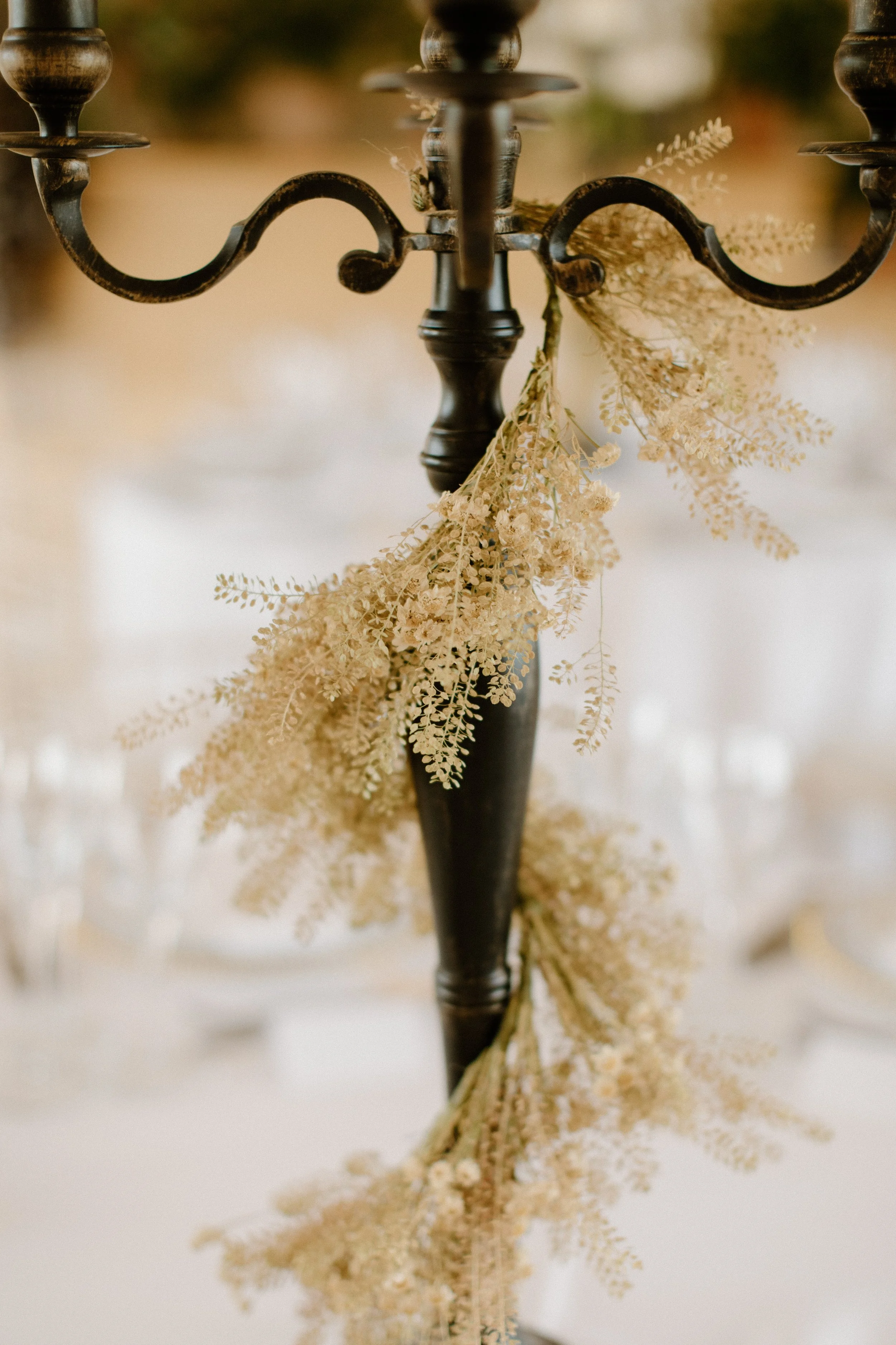 emma-charlie-wedding-350.jpg