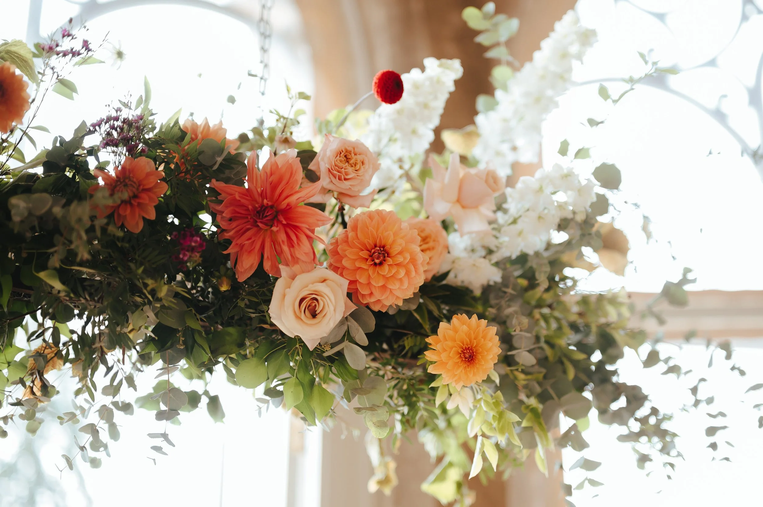 Sarah & Harrison-1037.jpg