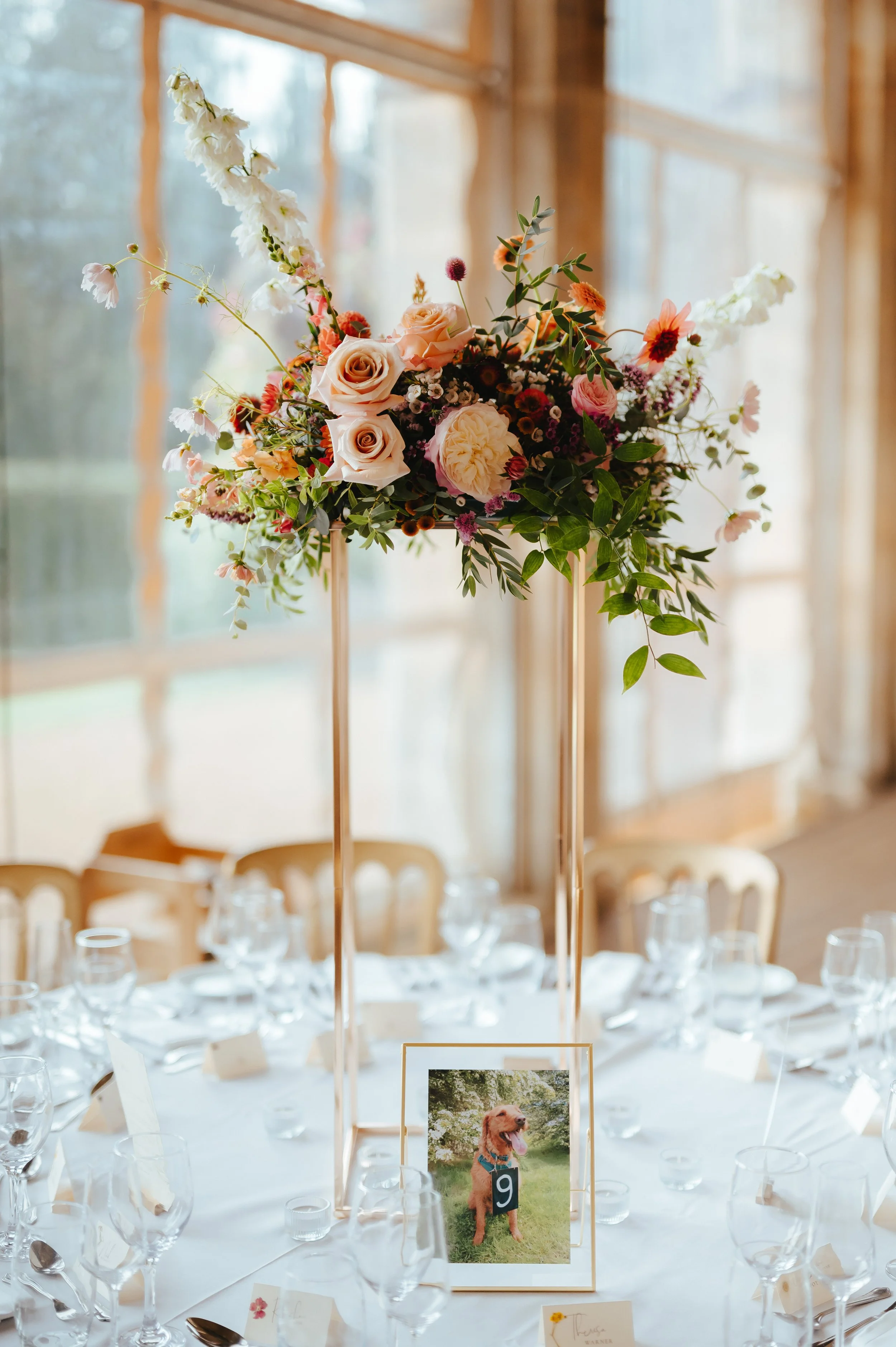 Sarah & Harrison-1040.jpg