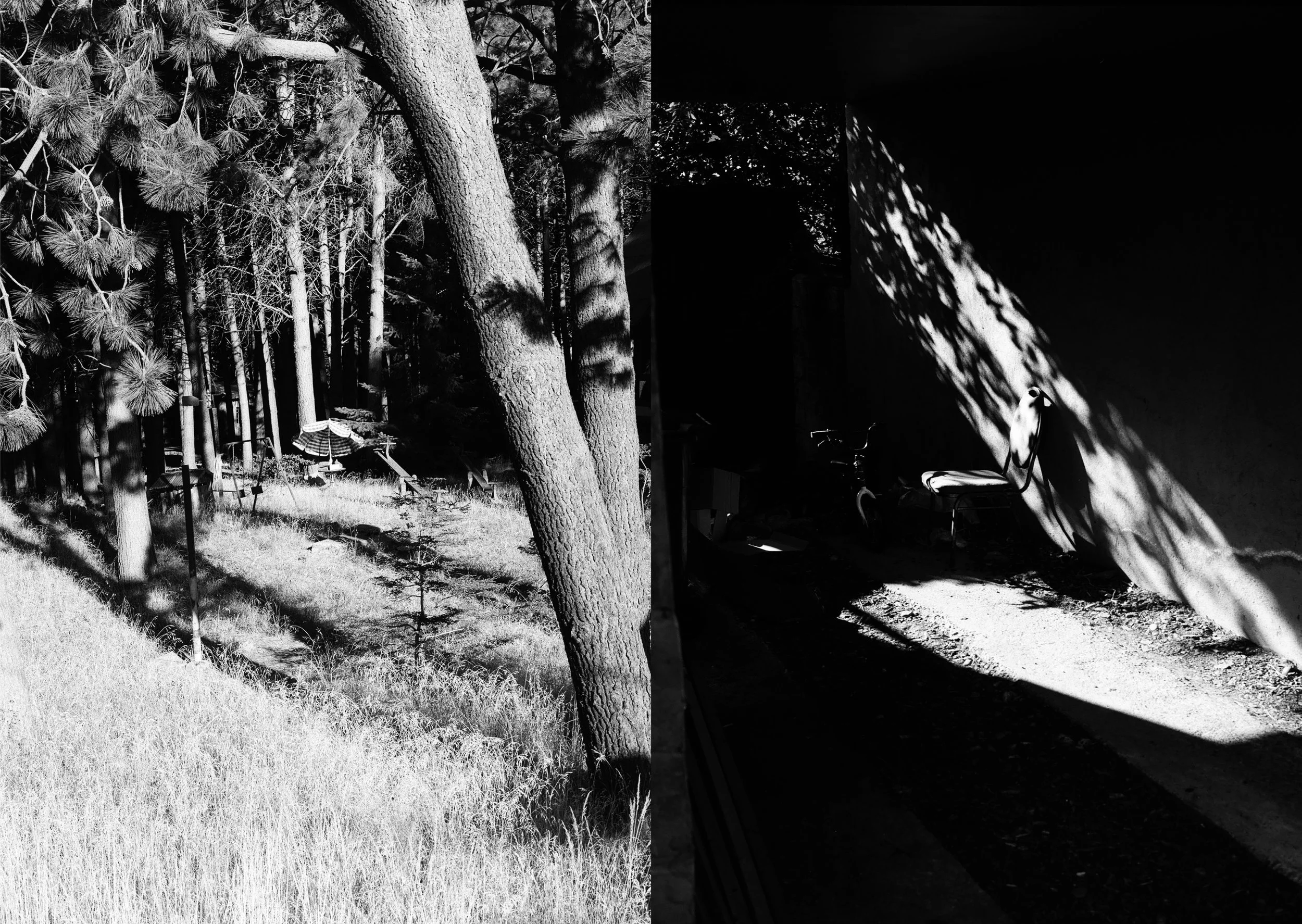 Black and White_37_1.jpg
