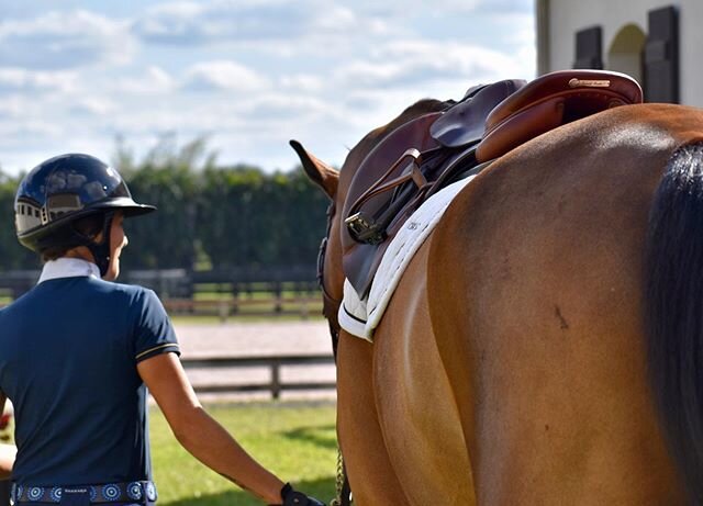 Horses are off to New Jersey and I&rsquo;m off to Chile 🇨🇱 for two weeks (visa stuff). Will be missing Monty &amp; Rocky but I know @chriskapplerinc and @maicon_gonzalez_ will take great care of them! ✨