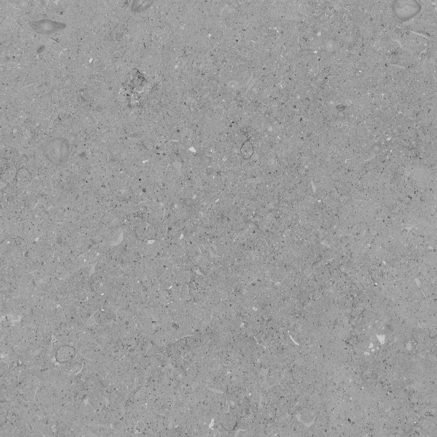GRIGIO ARGENTO