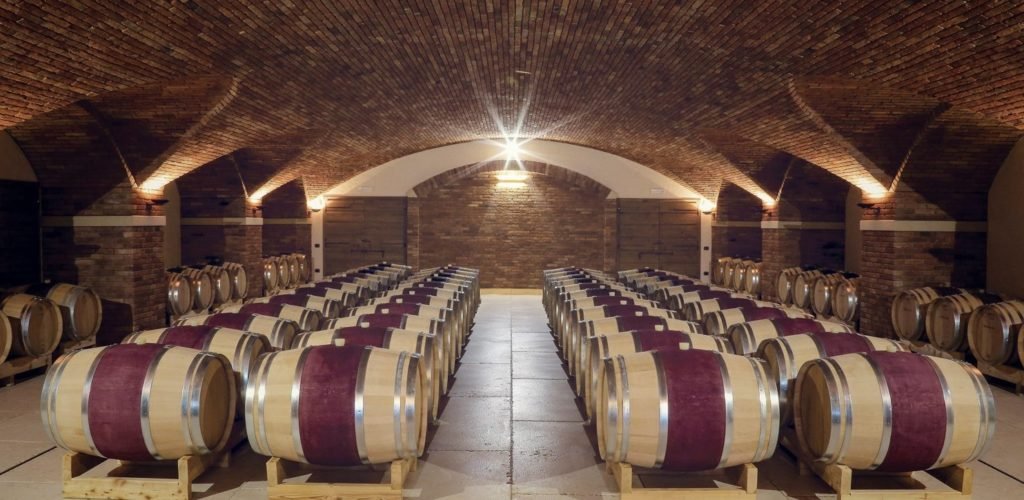 Isovista-Corso-Wine-Cellar-1024x500.jpeg